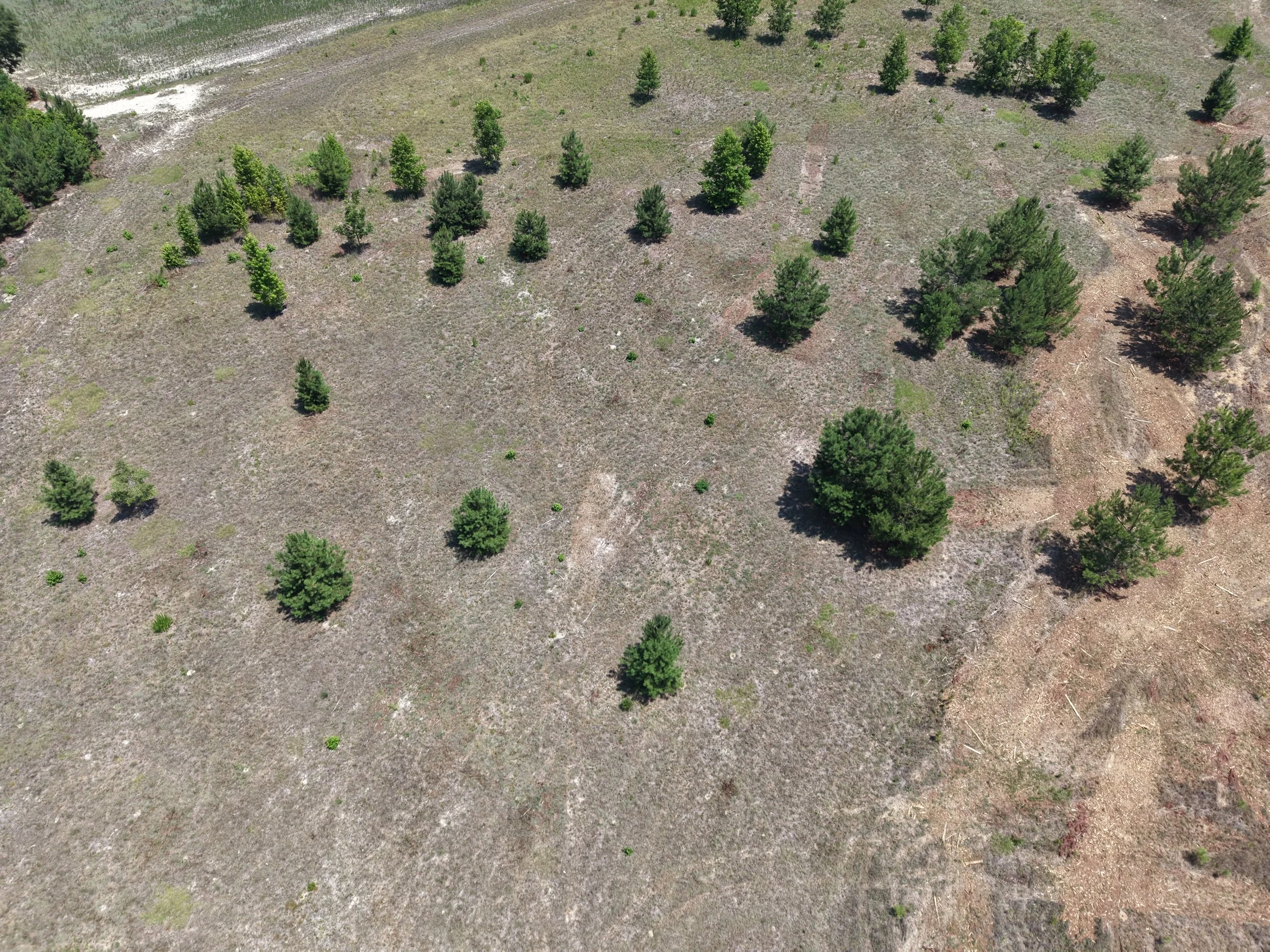 DJI_20260703121044_0725_D.JPG