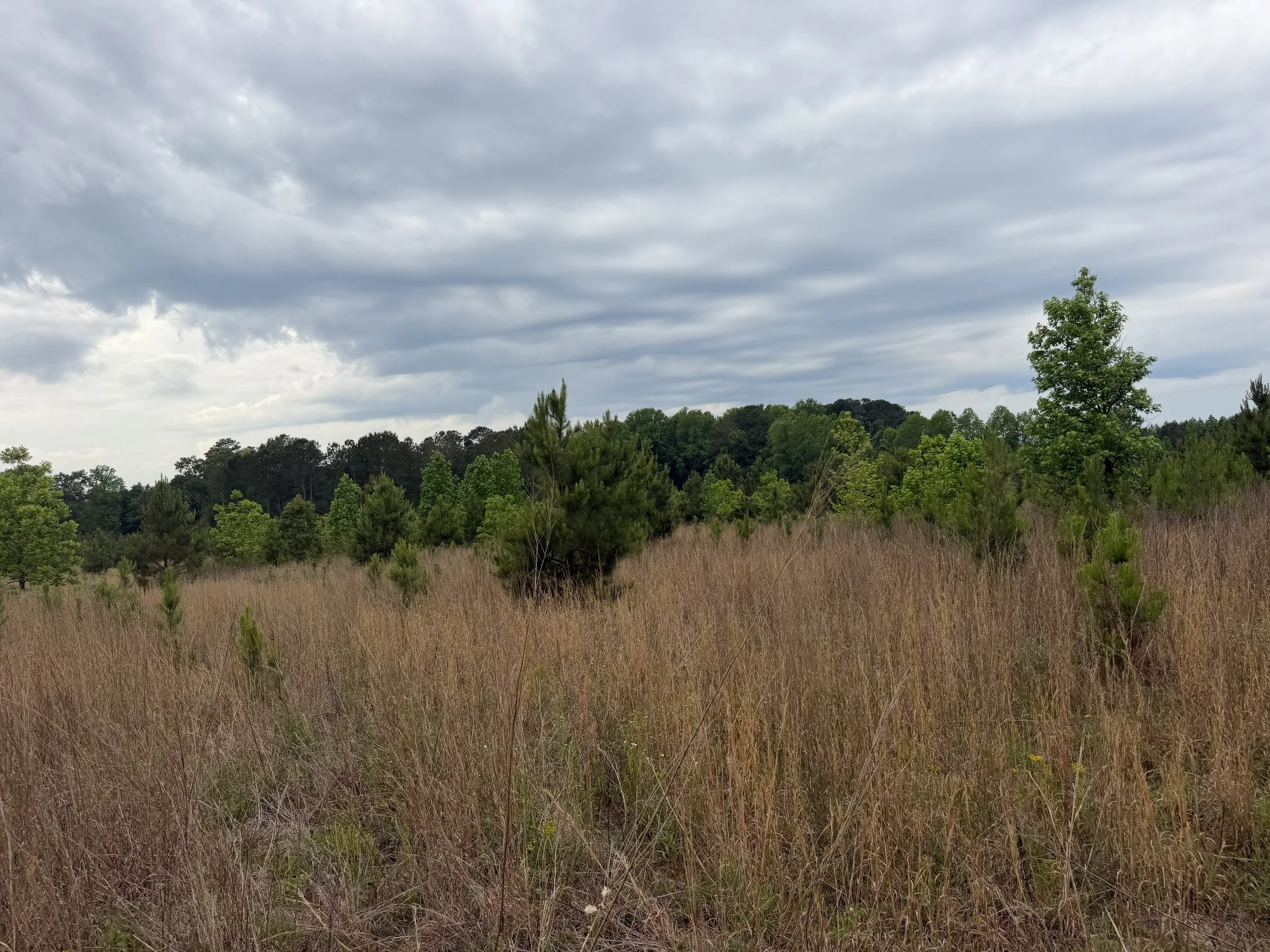 IMG_4374 60 acres.jpg