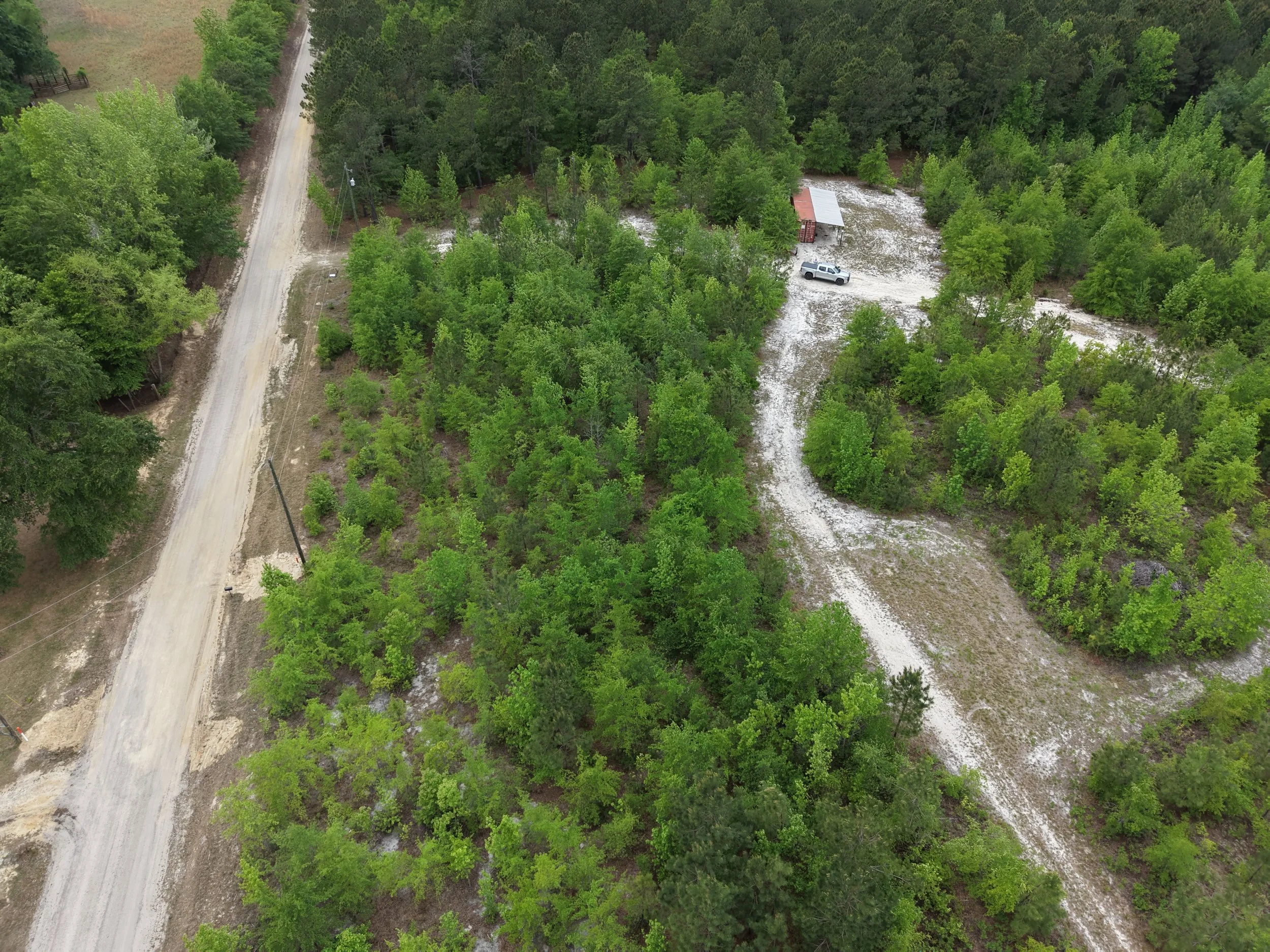 DJI_20260419105824_0072_D.JPG