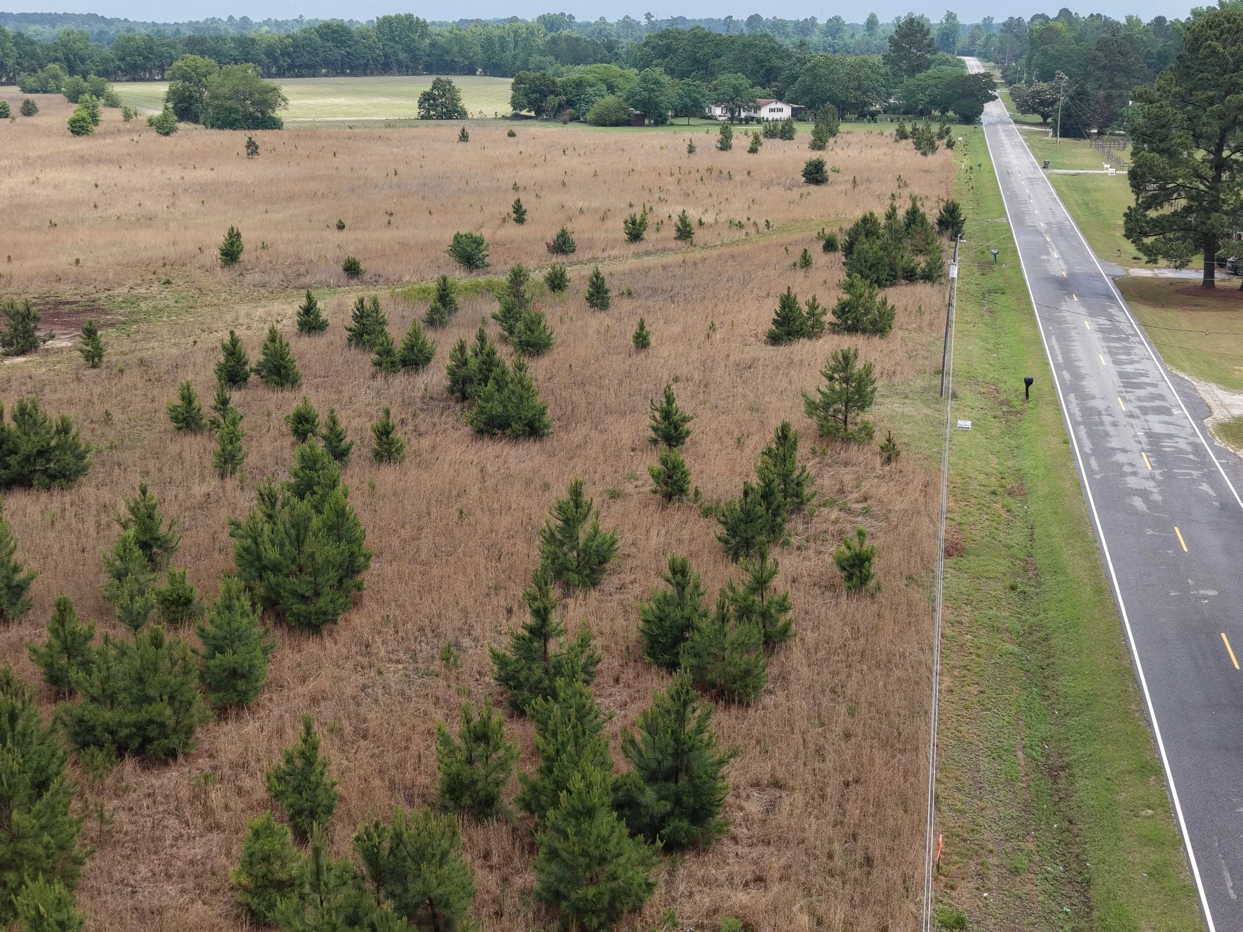 DJI_20260511115750_0310_D.JPG