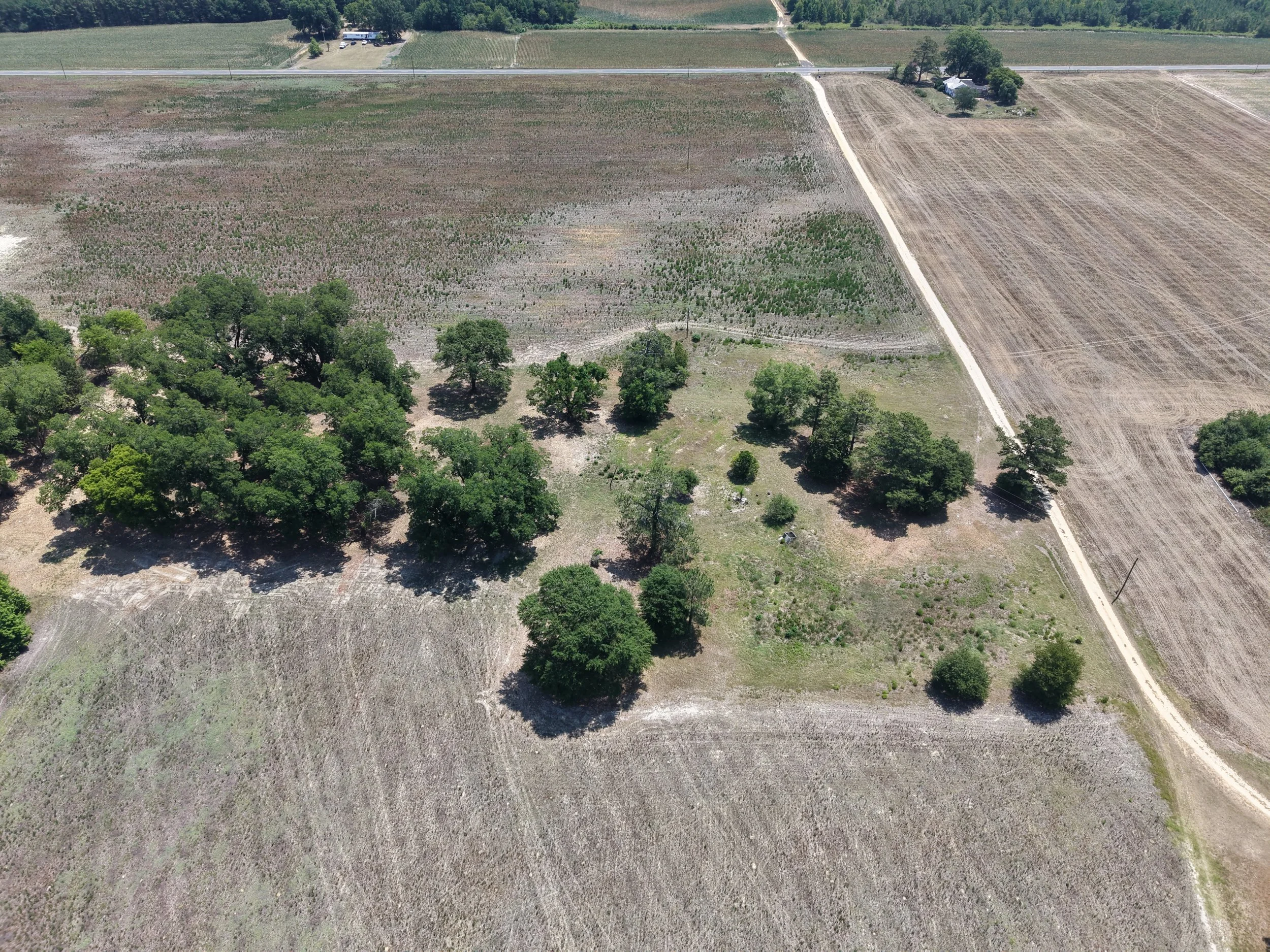 DJI_20260703121110_0732_D.JPG