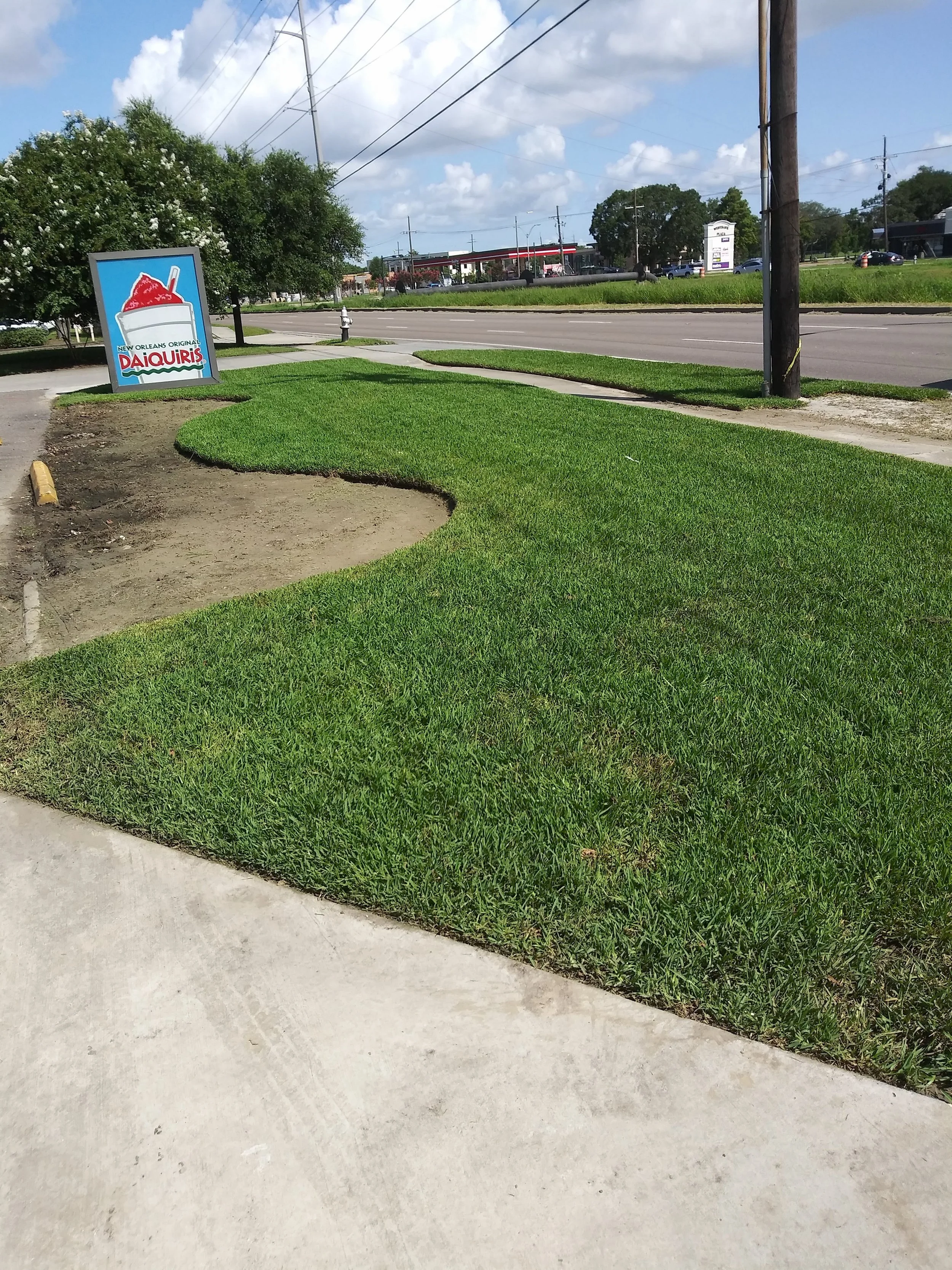 new sod installation