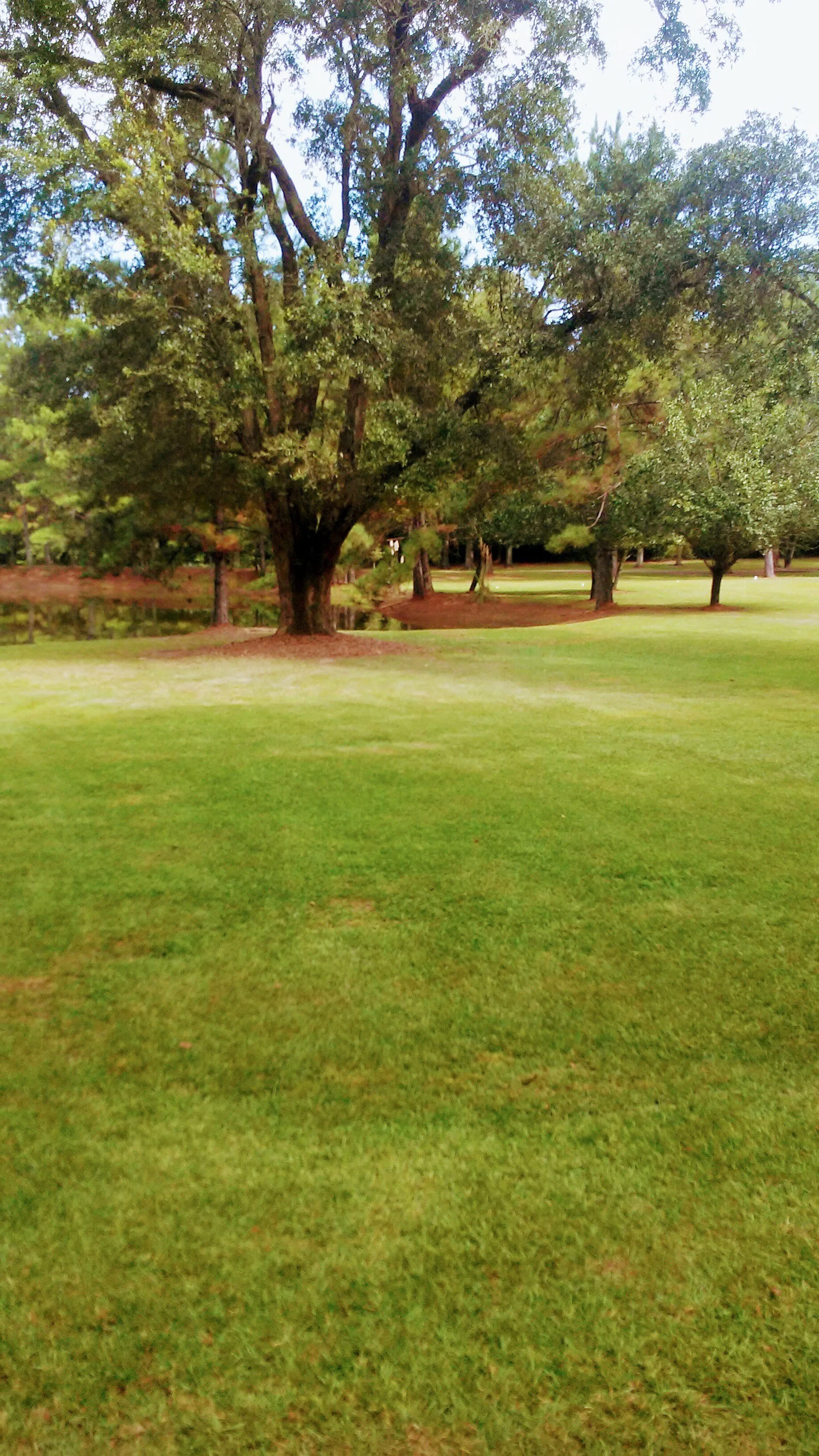 lawn care services for a four acre residential property