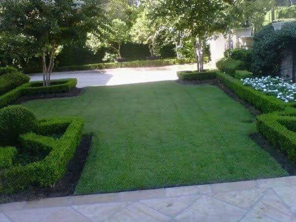 lawn and landscape maintenance services