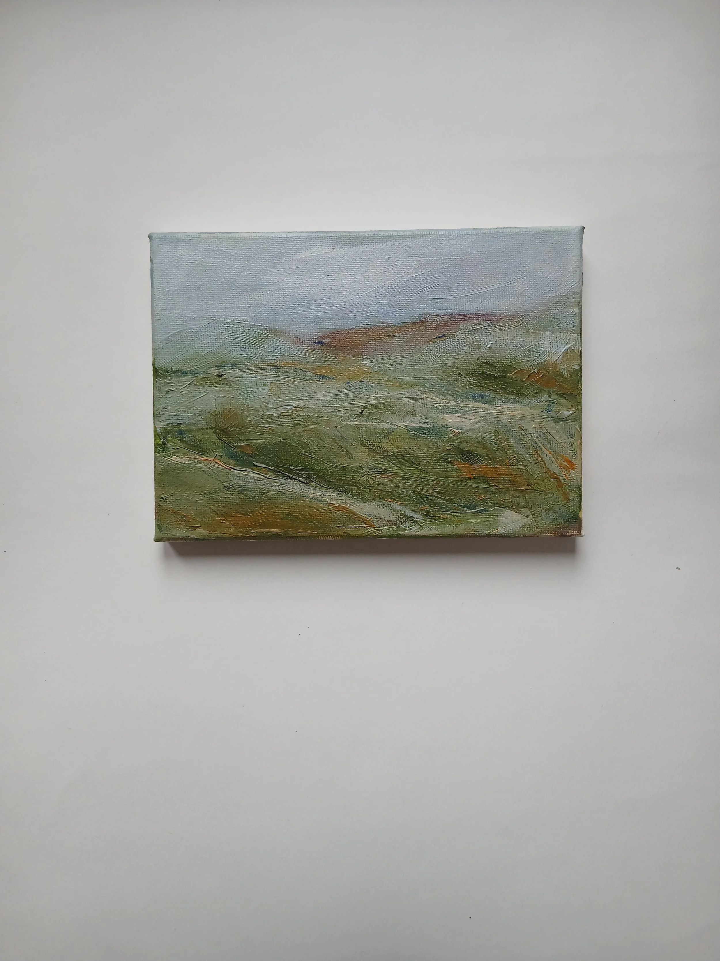 Walking the Hills 2023.jpg