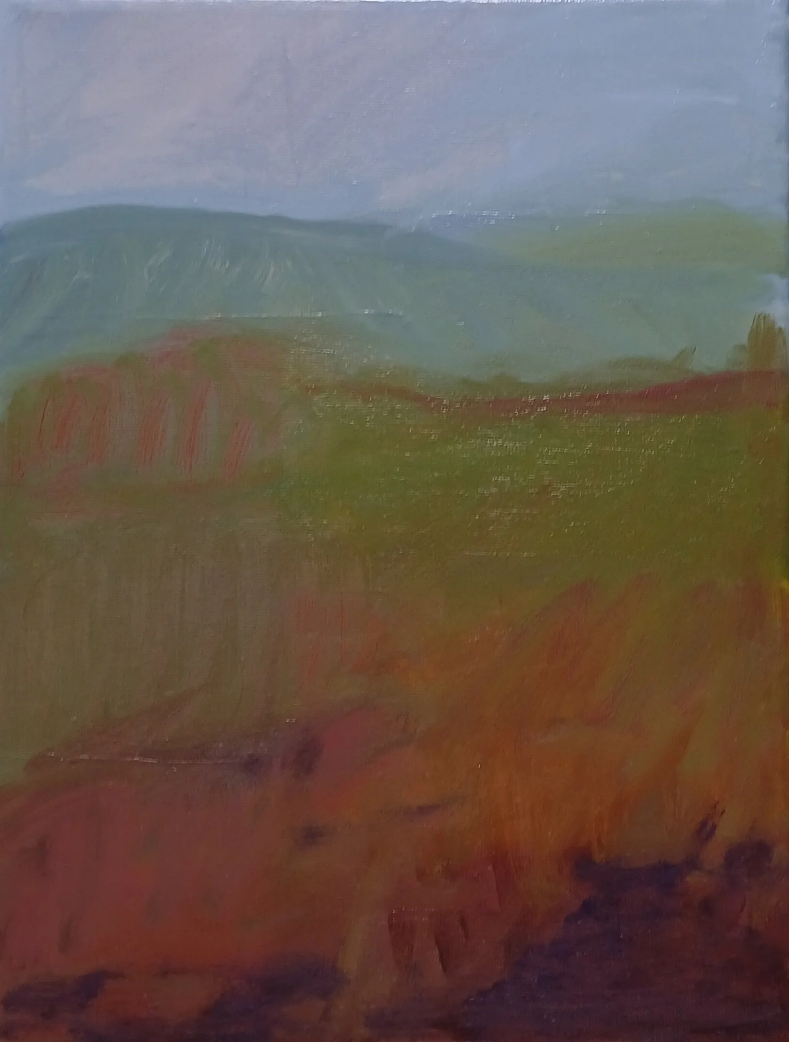 Second Chance 2025a.jpg