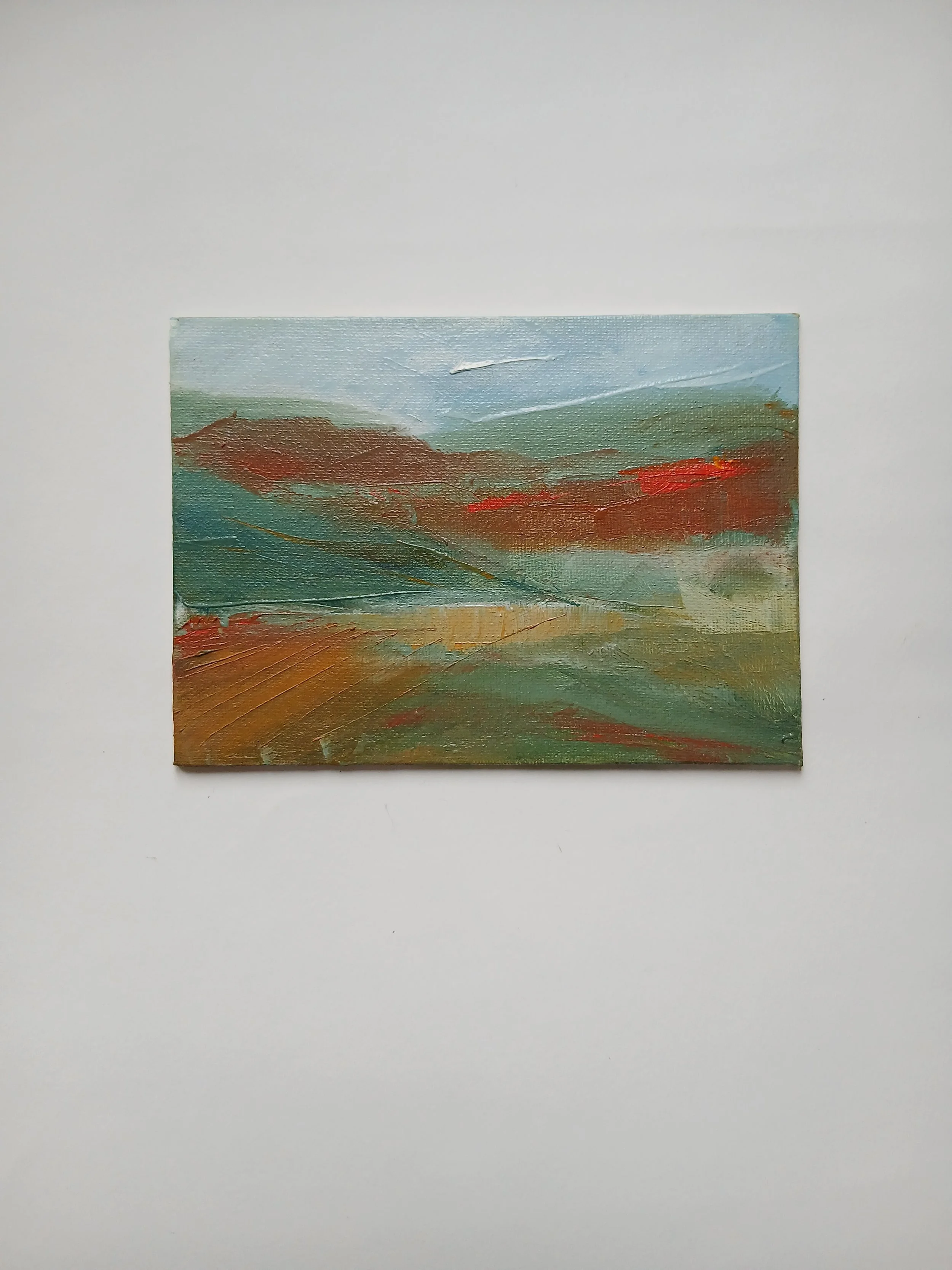 Silver Moss 2023.jpg