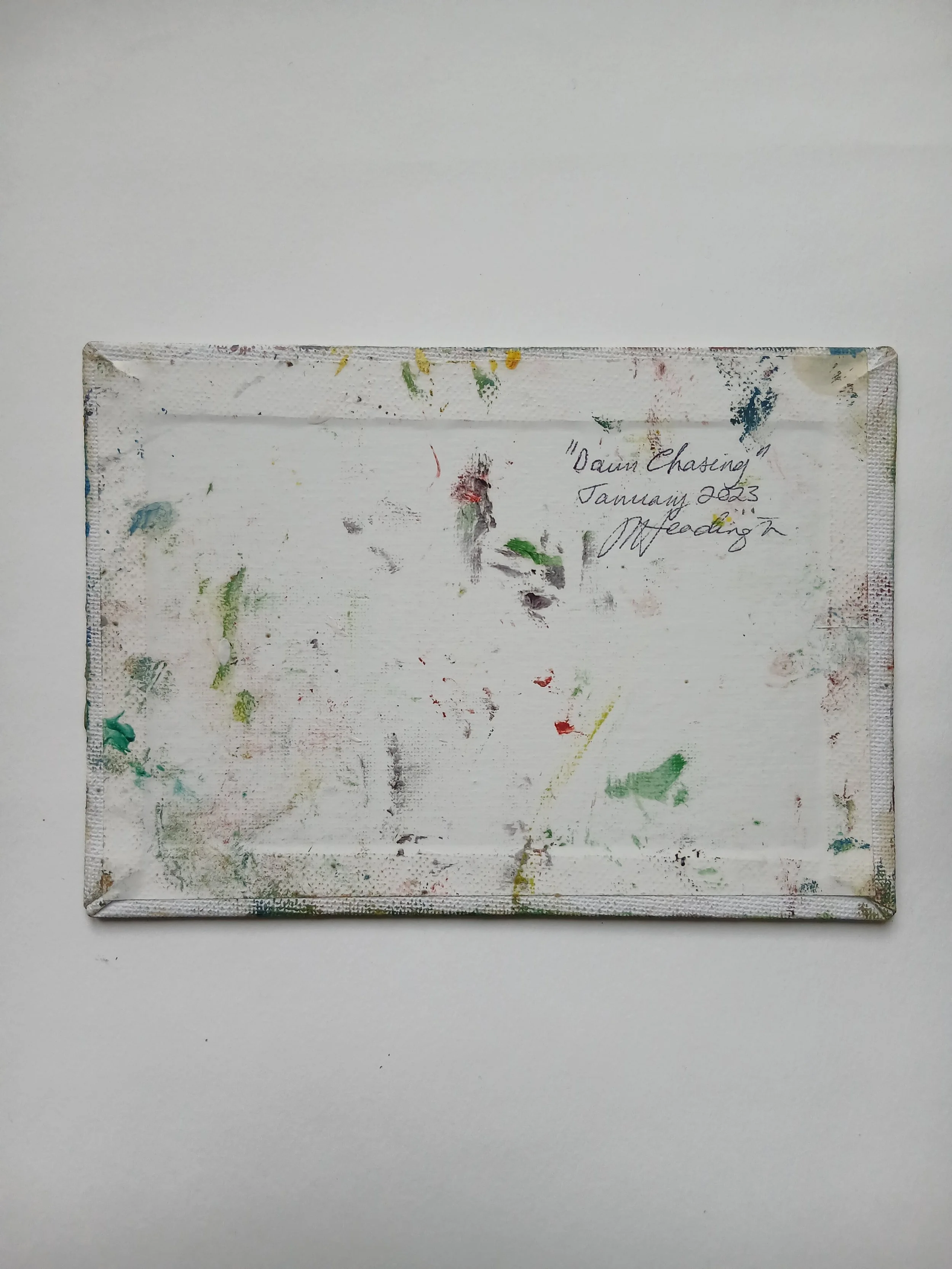 Dawn Chasing back view.jpg