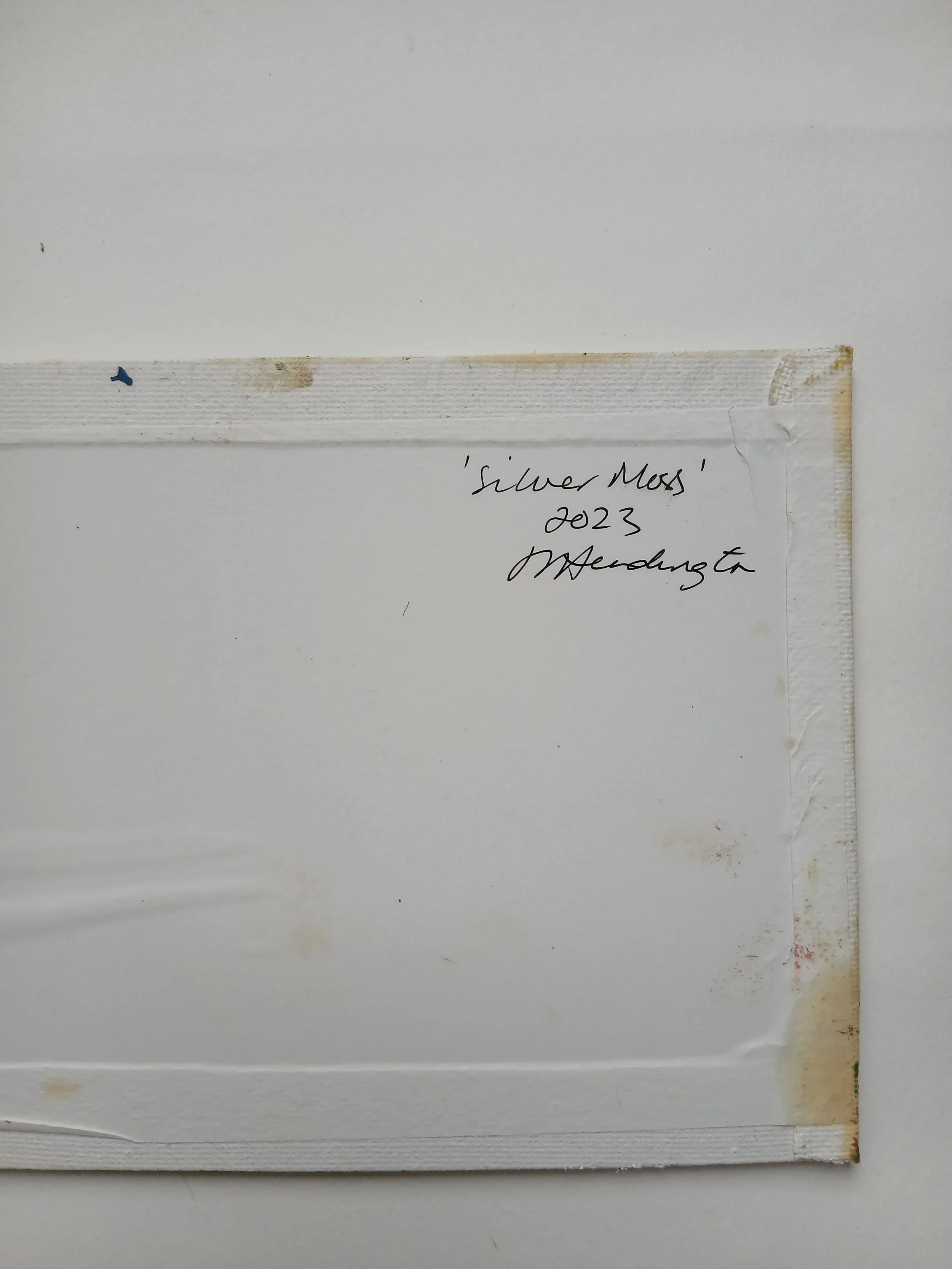 Silver Moss back view.jpg