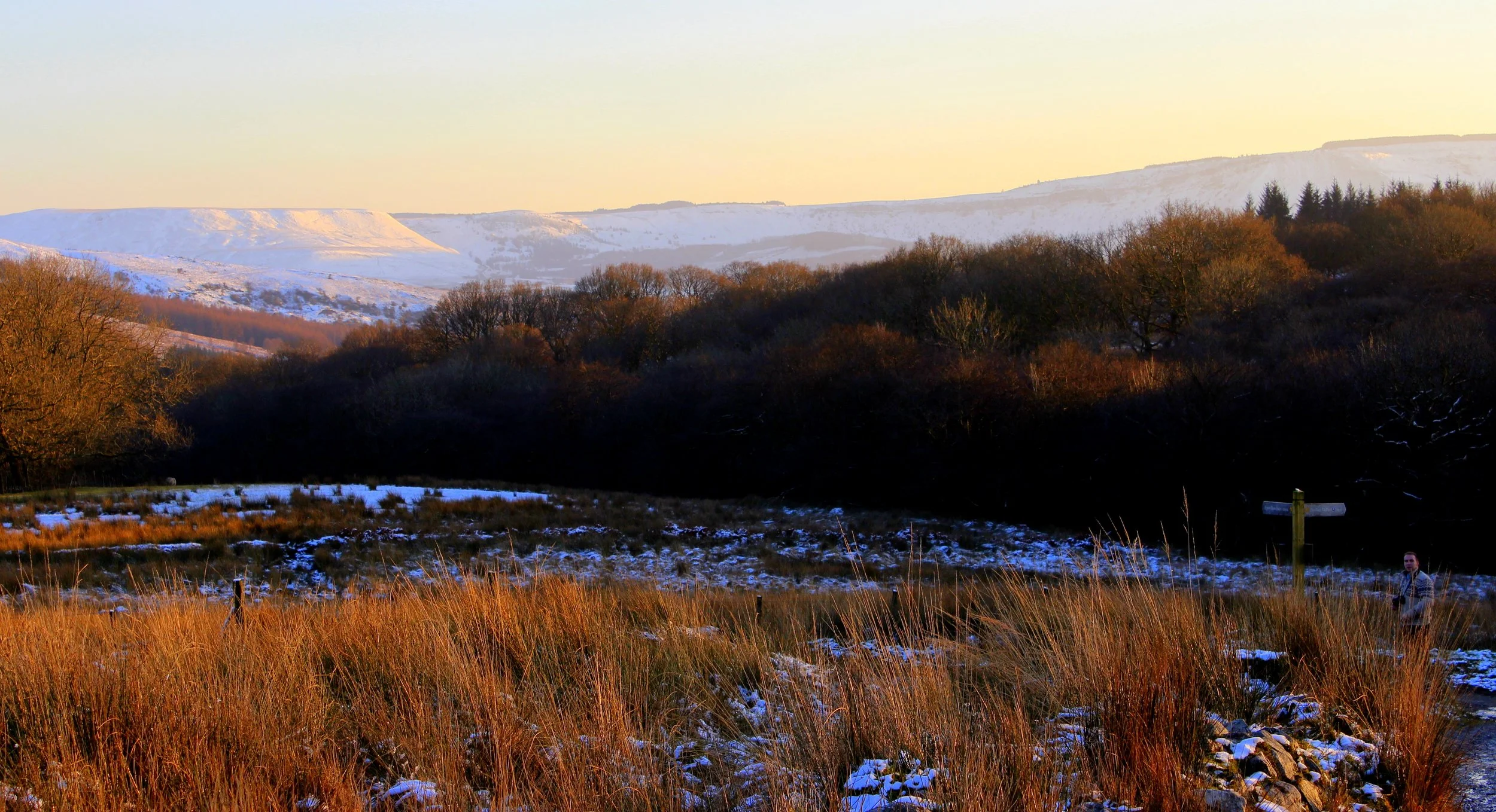 february_6802452973_o.jpg