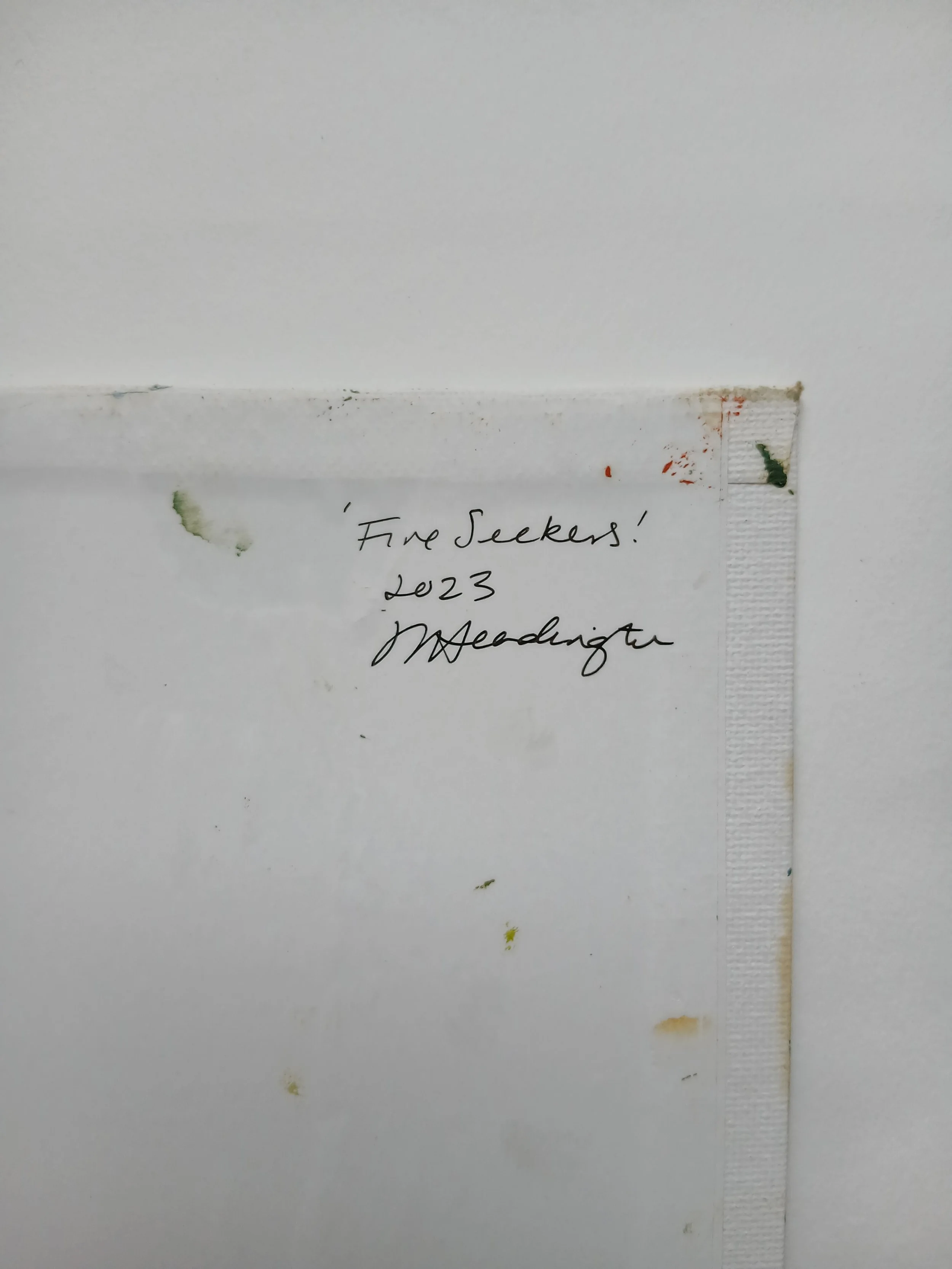 Fire Seekers back view.jpg