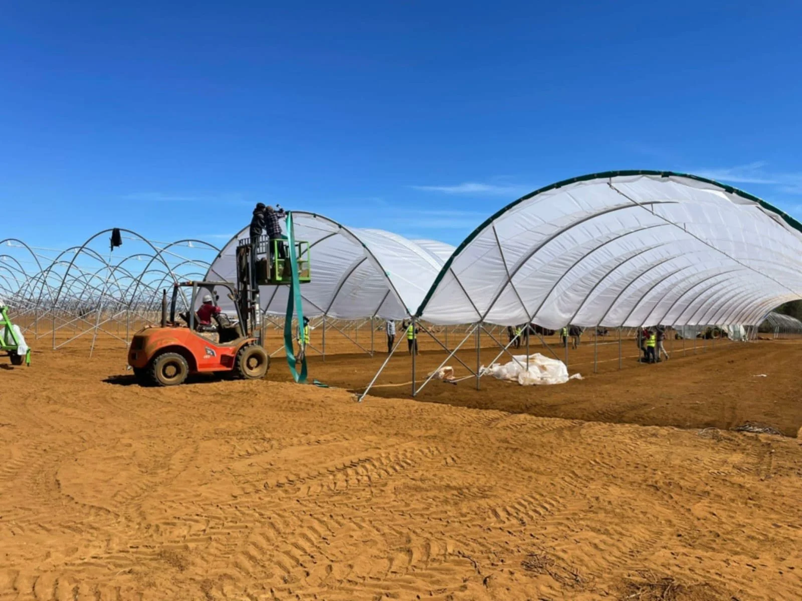 Construction of Blueberry plantation.