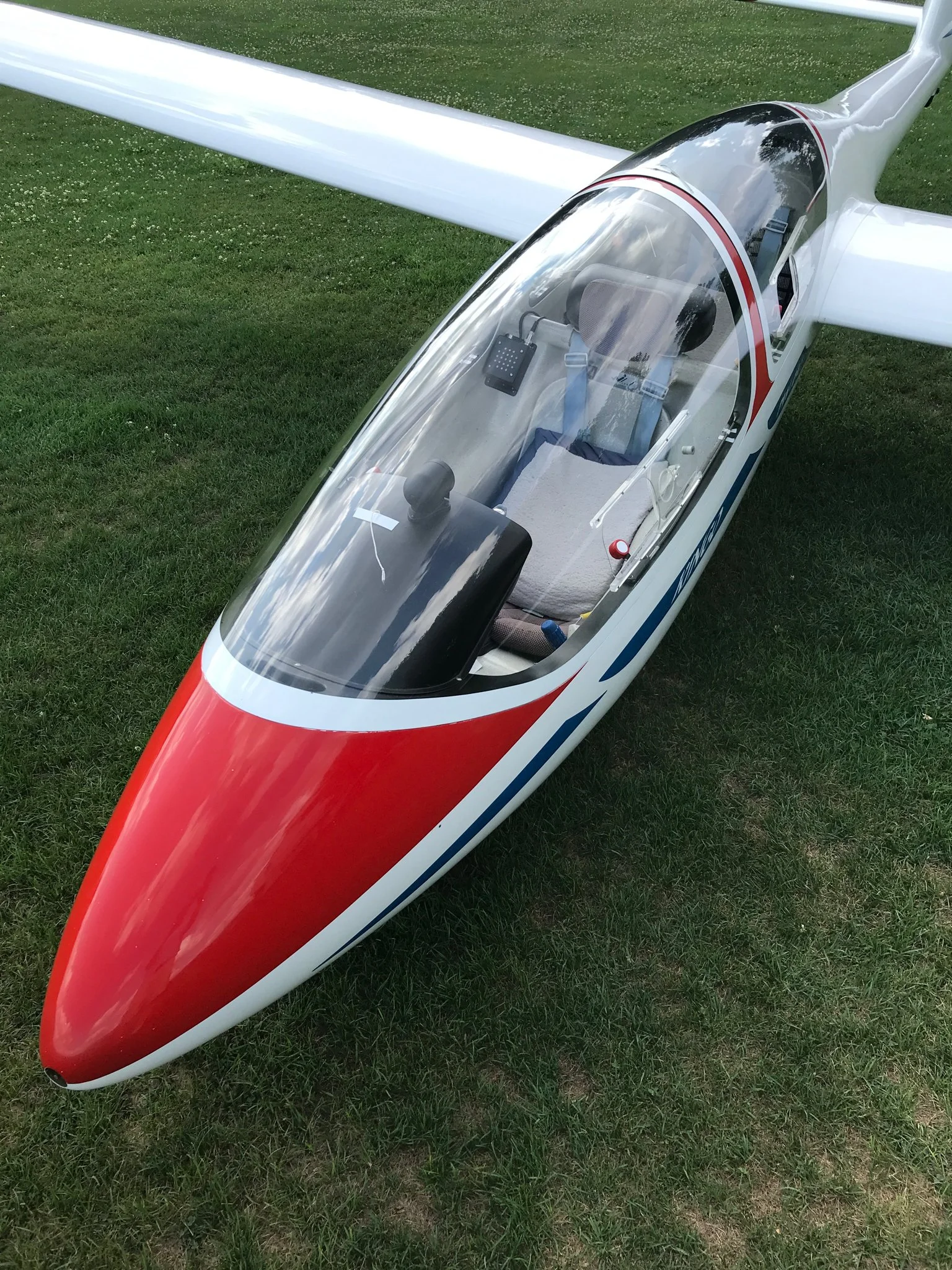 Trust Your Wings: A Leadership Lesson at 150 Feet