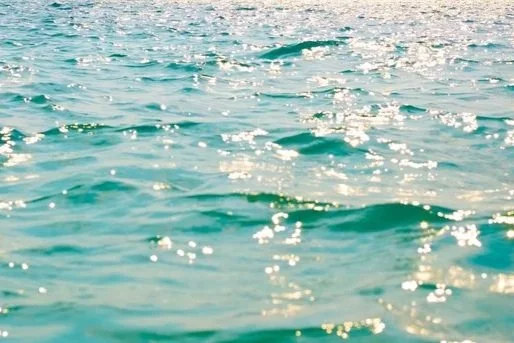 A vast body of sea water with gentle waves and sunlight reflecting off the surface.