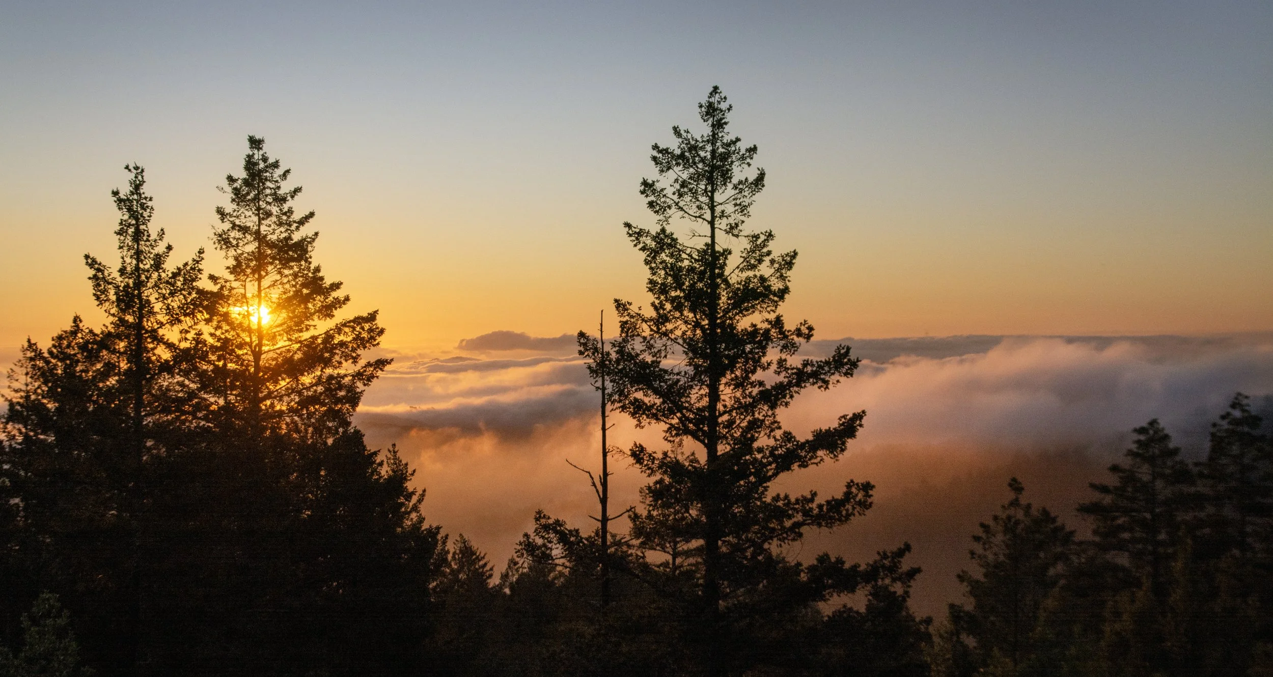 marincounty_26.jpg