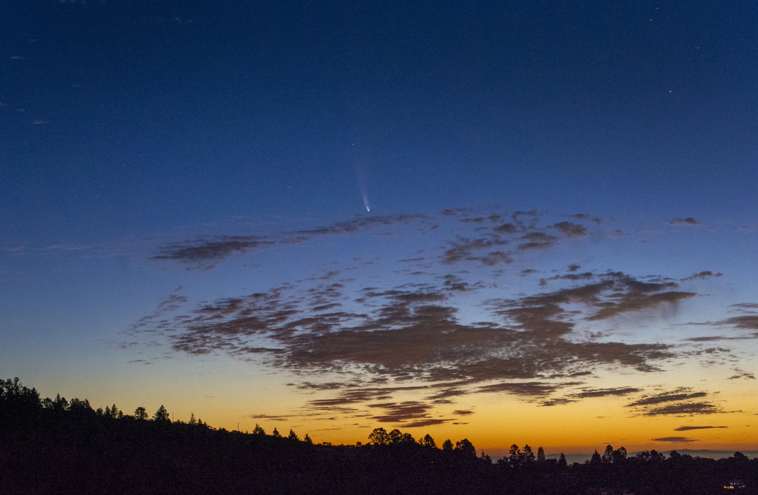 marincounty_02_cometneowise.jpg