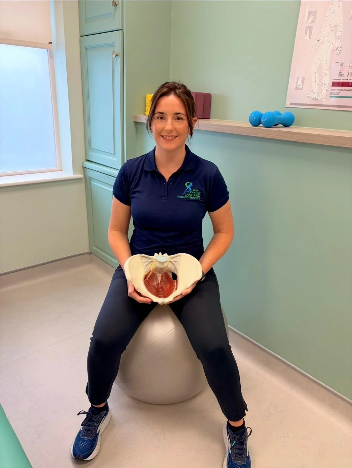 A woman sitting on an exercise ball holding a model of a pelvis and internal organs in a room with light green walls, a window, and a shelf with dumbbells.