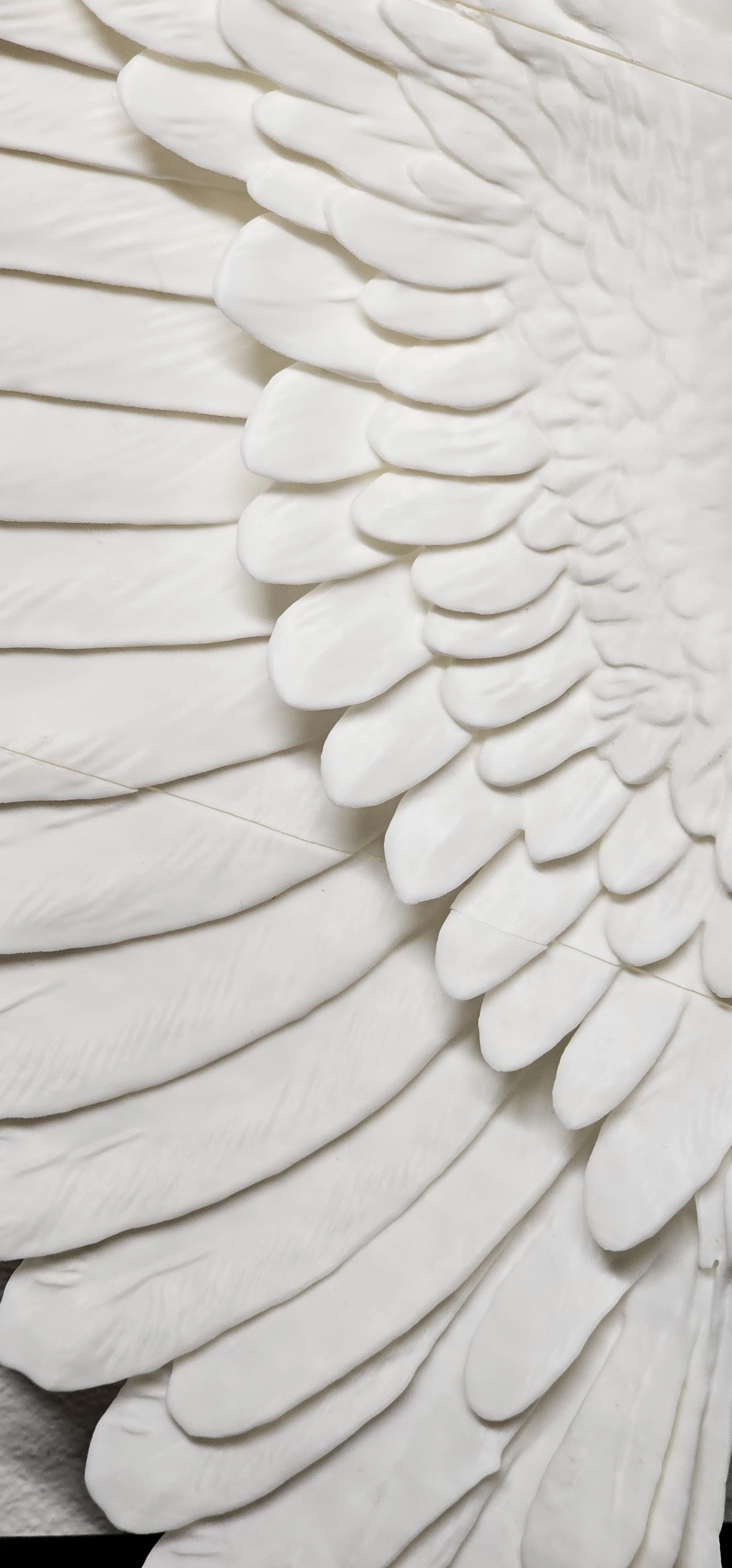 Dettaglio di piume bianche sovrapposte, evidenziando texture e forma