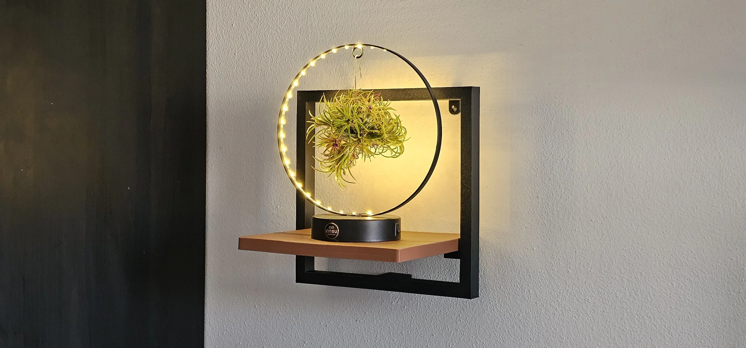 Lampada decorativa con pianta e luci a LED a forma di cerchio, montata su una parete