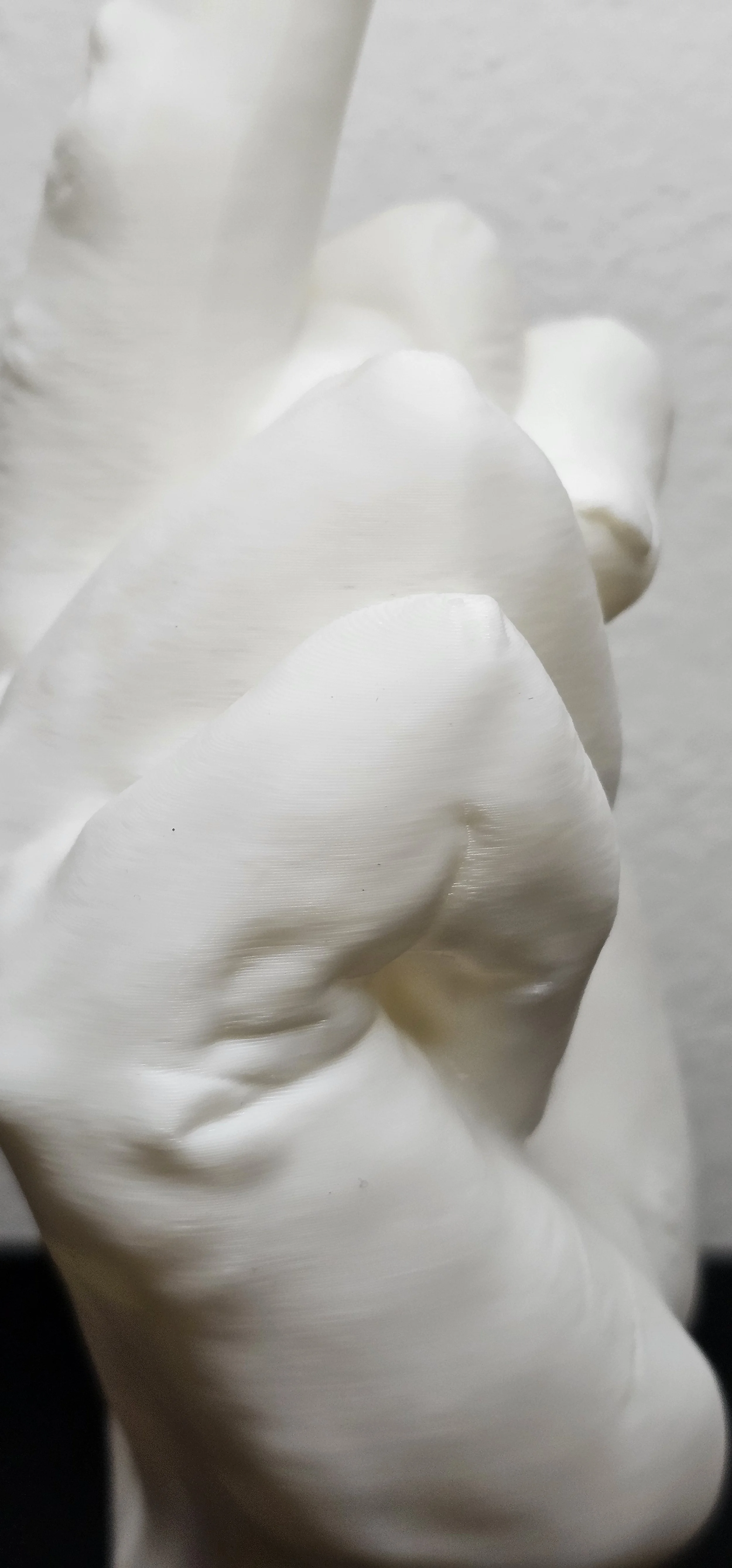 Statua di una mano bianca che mostra il dito medio alzato, zoom sulla parte esterna della mano