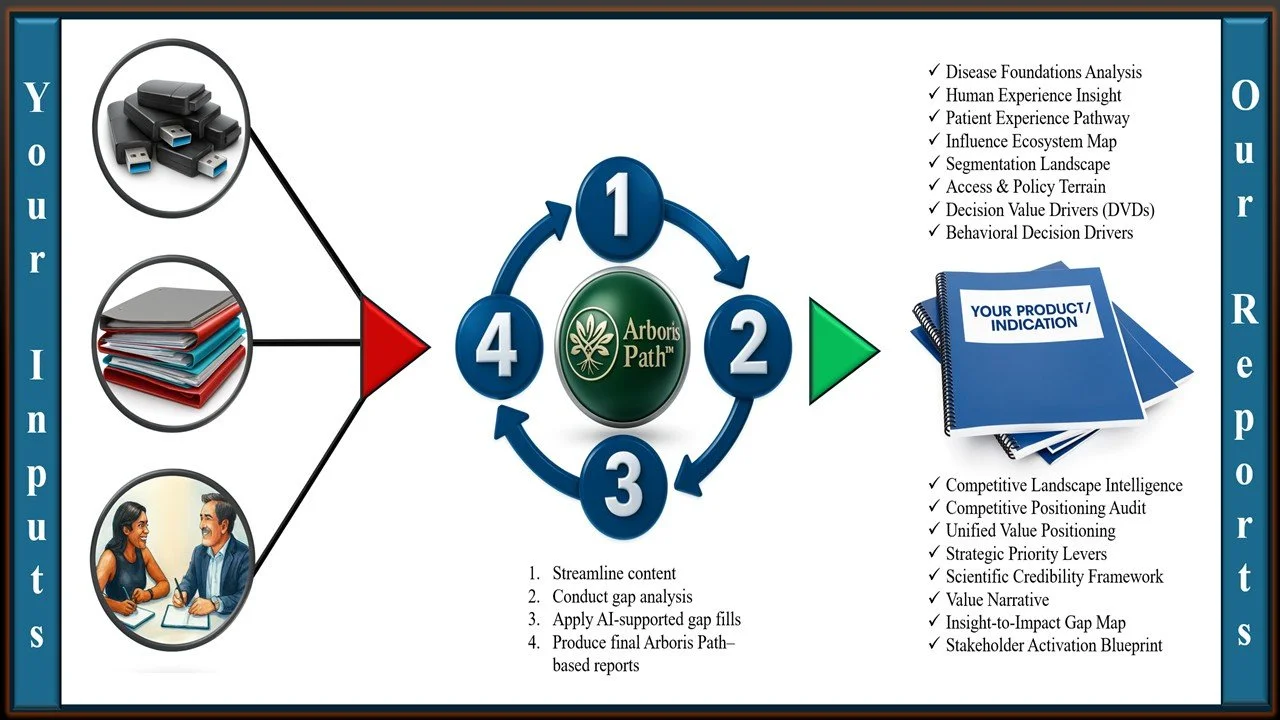 Arboris Path prioritizes rigor, integrity, and transparency in how strategy is developed and communicated.
