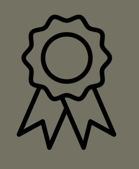 Black outline of a ribbon award with a circular center and two ribbon tails on a gray background.