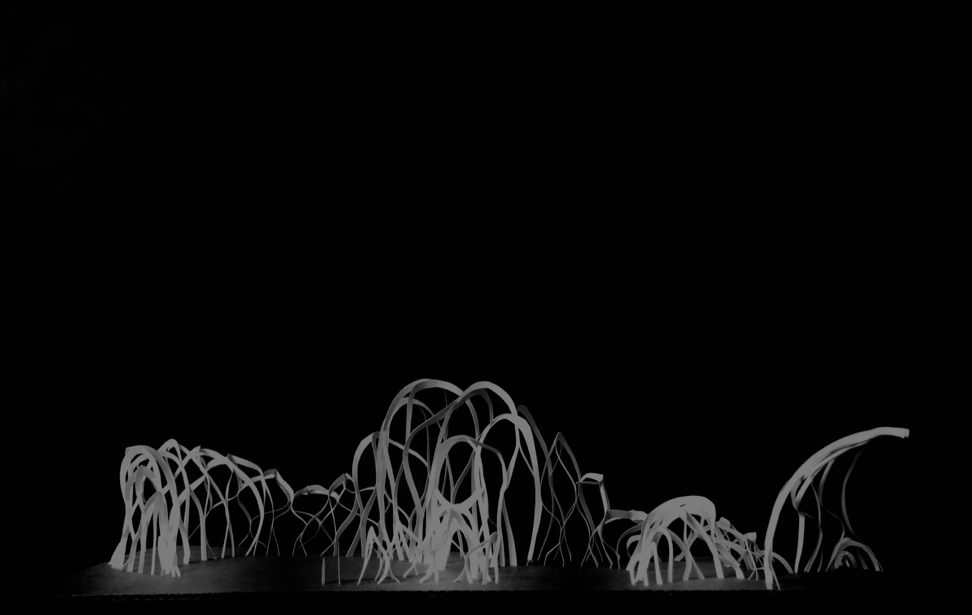 Abstract black and white sculpture resembling intertwined organic shapes on a flat surface.