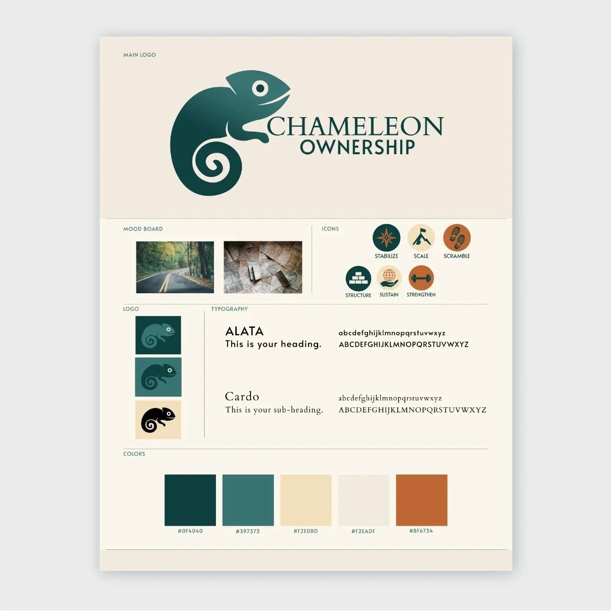 Chameleon Ownership Brand Guide - Visual identity system with logo, typography, color palette, and brand applications