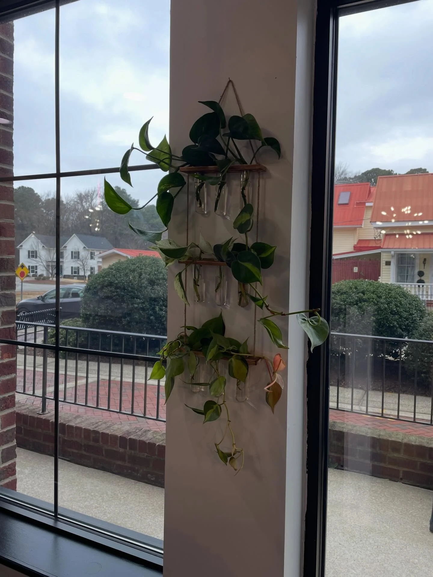 🌿The Propagation Station is officially
back at The Foilery

Take a plant.🪴 
Leave a plant.🌱 
Or just stand there admiring everyone else&rsquo;s leafy commitment issues.
Got a cutting that&rsquo;s thriving? Swap it.
Need a little green joy in your 