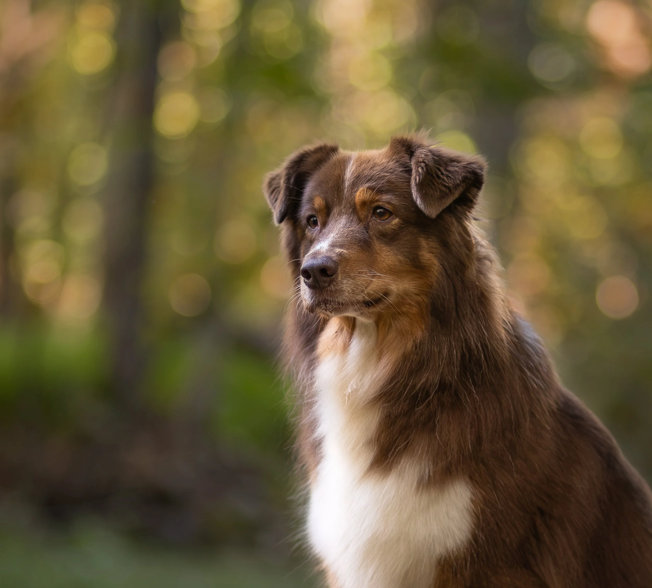 DI8A2529-2.jpg