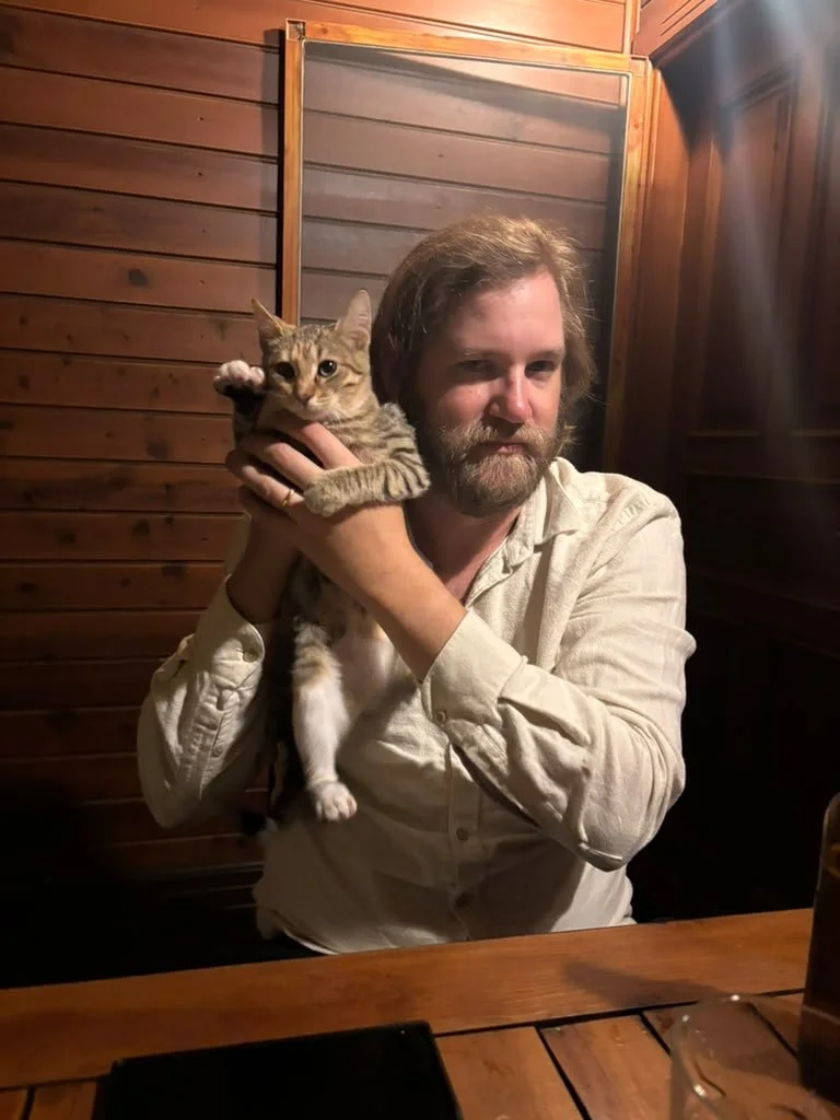 One of many feline friends in Çıralı