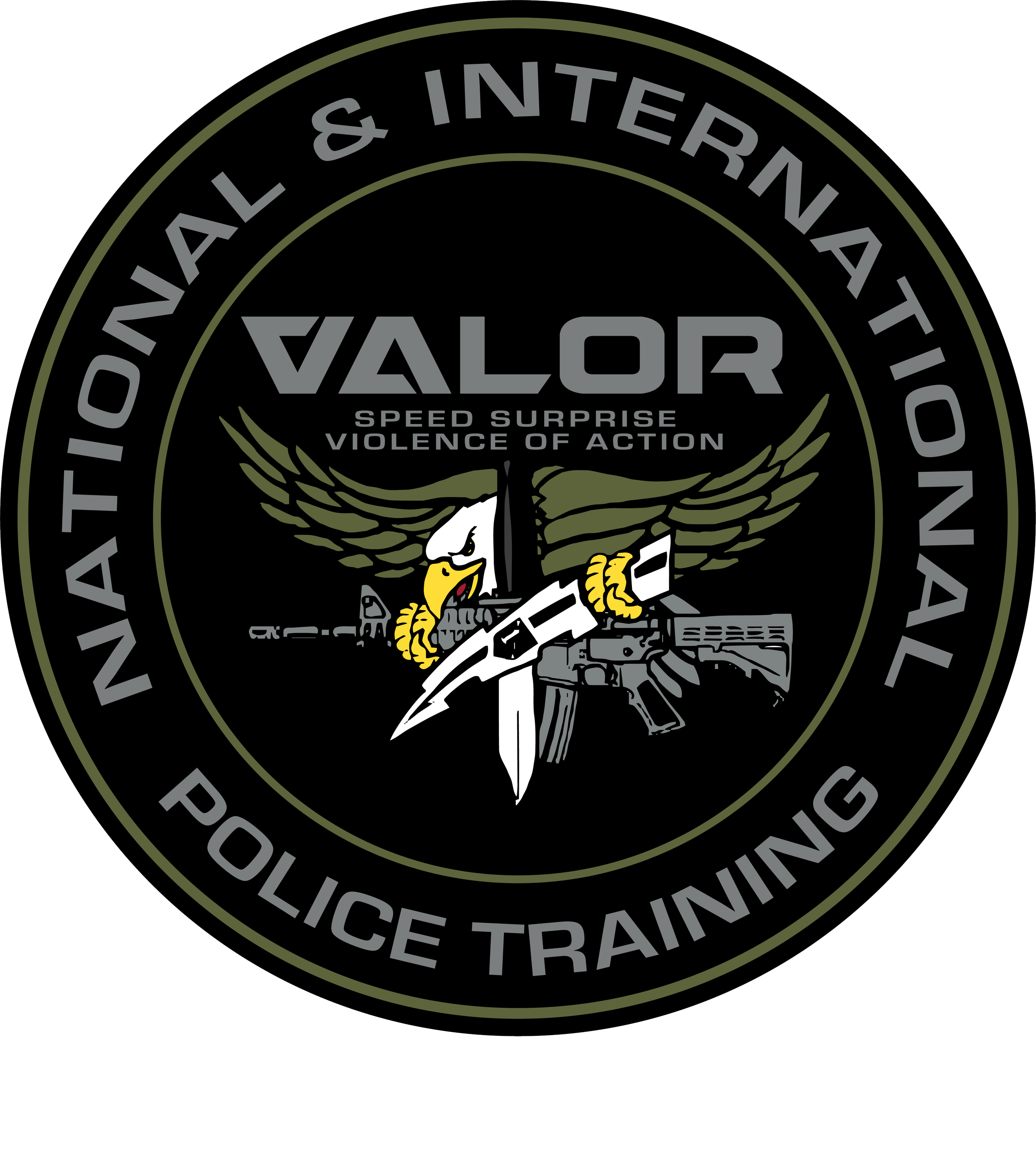 Patch badge for Valor Police Training with an eagle holding a rifle and a knife, wings spread, with the words 'Speed Surprise Violence of Action'.