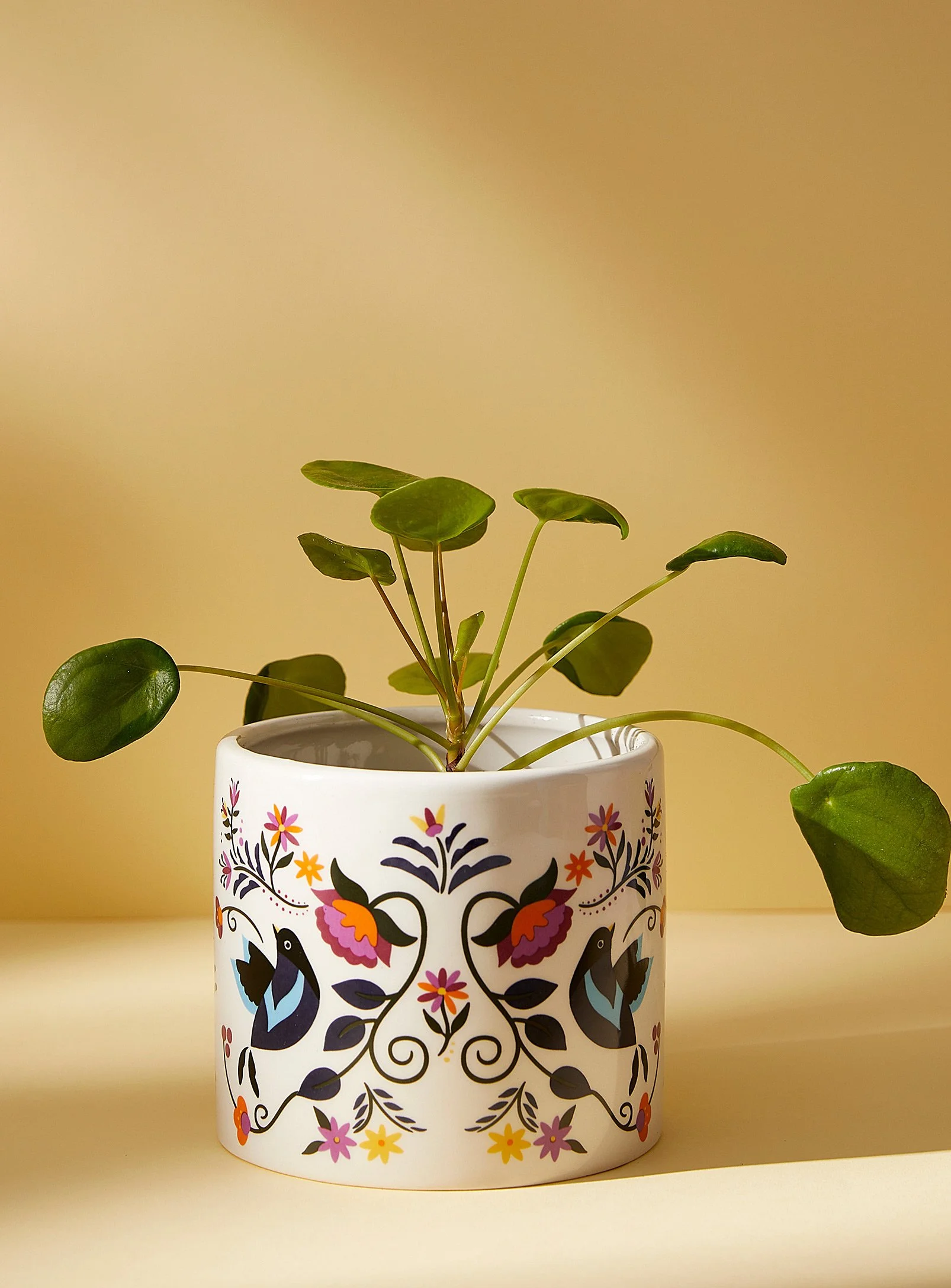 Le cache-pot fleurs et oiseaux.jpg