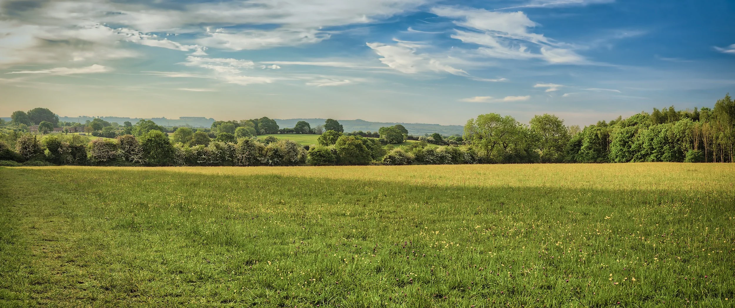 Just a part of the proposed land for housing

