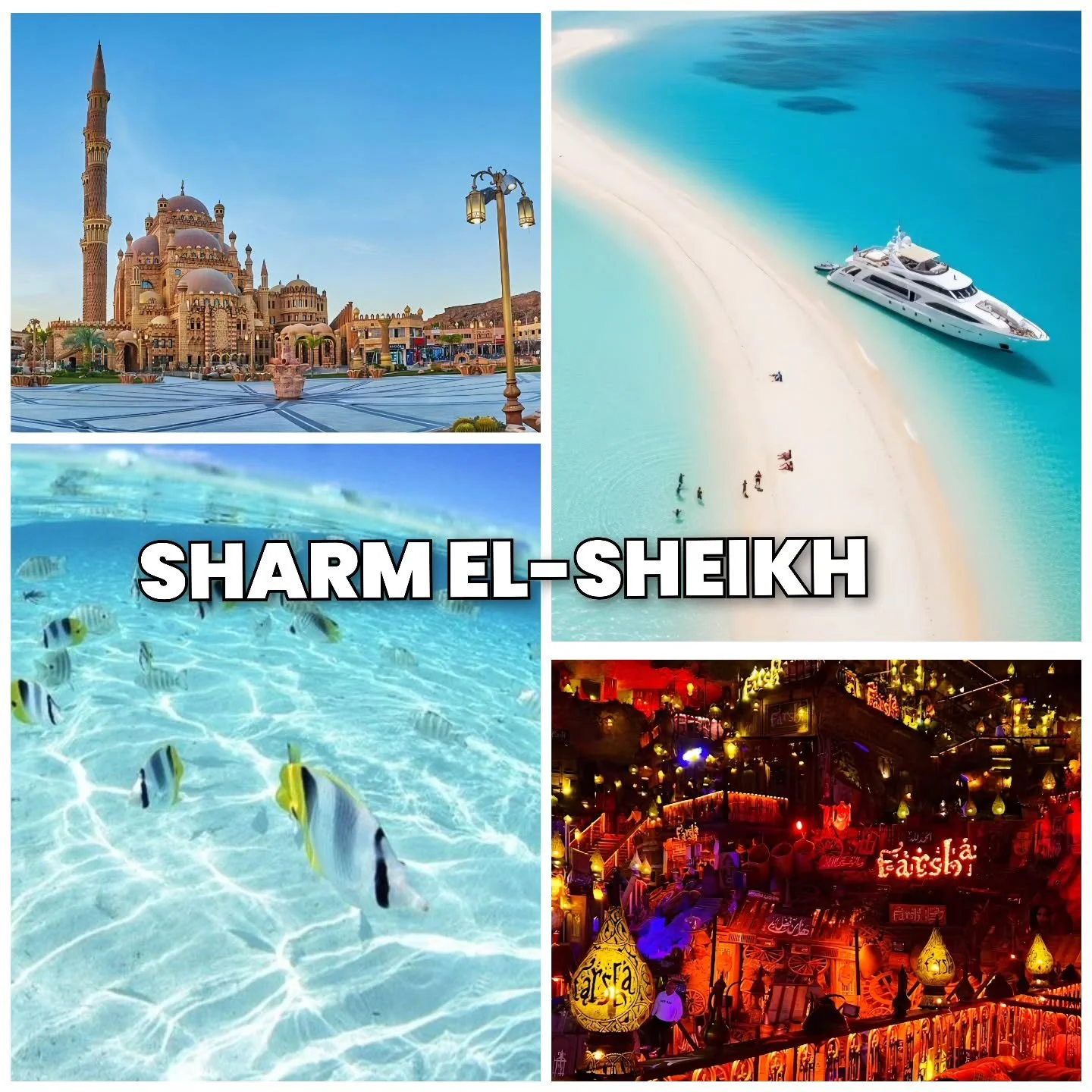 Some journeys do not end in Cairo. They continue by the sea.

For those who want to extend their time in Egypt, Sharm El-Sheikh offers a completely different rhythm. Turquoise waters, soft white sand, coral reefs, and golden evenings overlooking the 