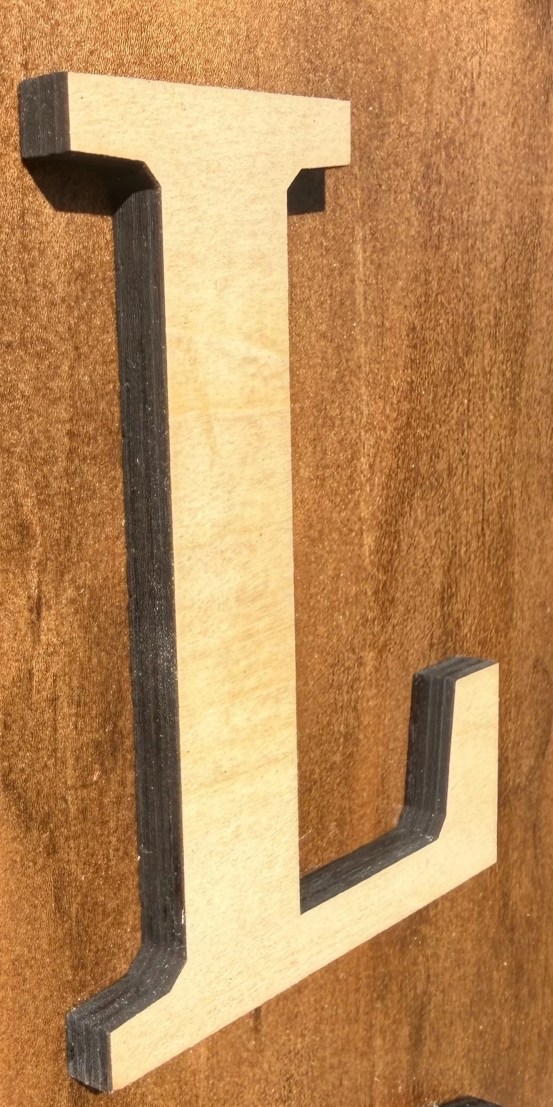 Laser Letter Shot Natural.jpeg