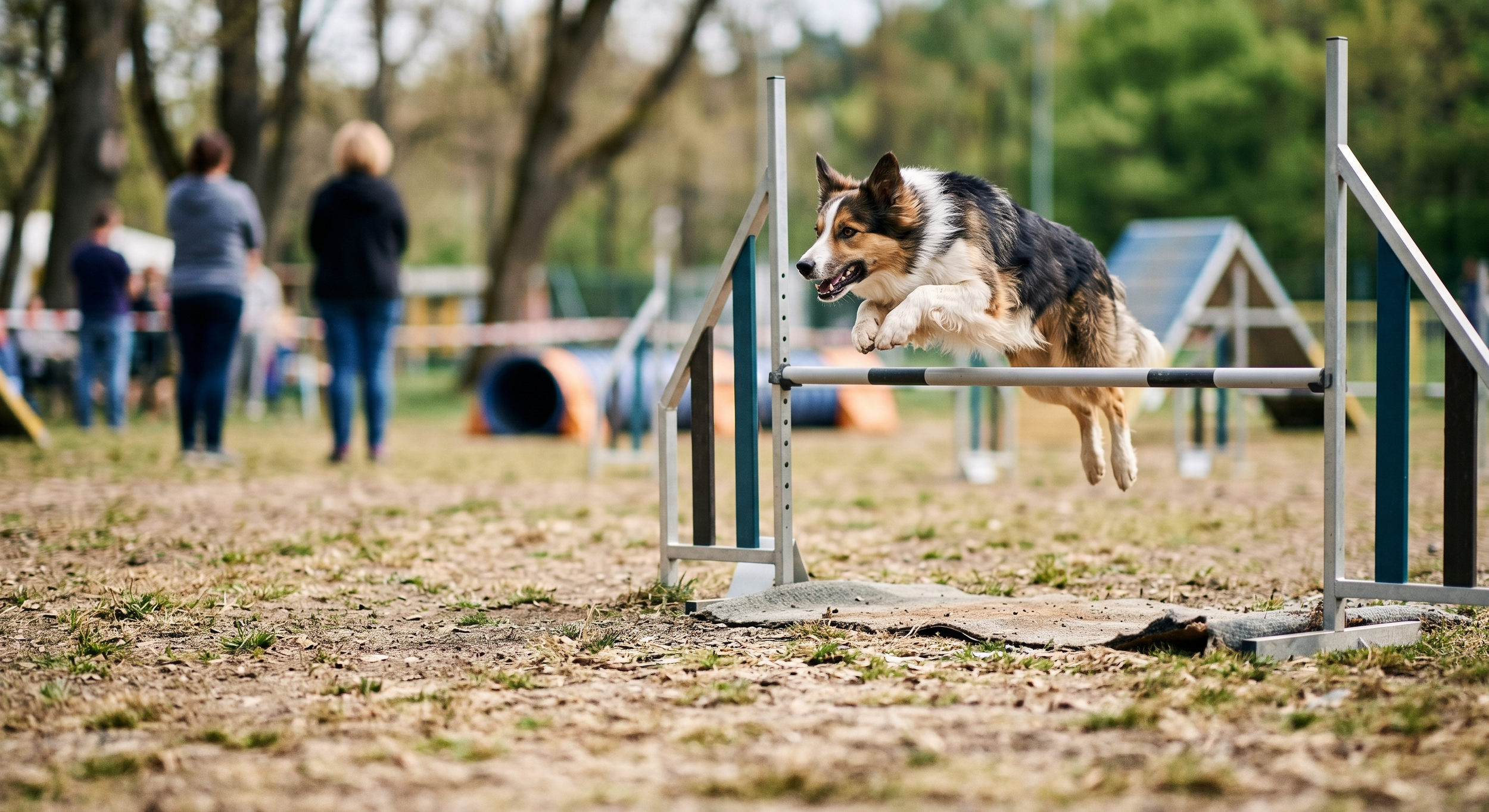 Dog competing in an agility course jumping over a hurdle with two people watching in the background.