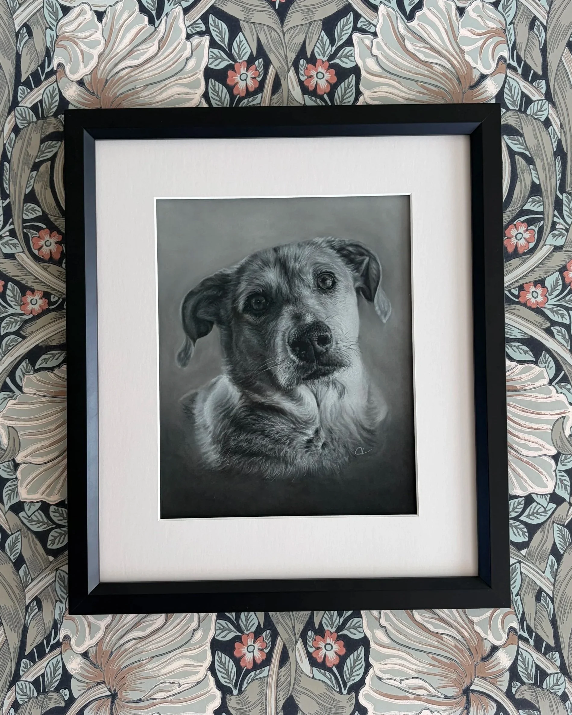 Framed drawing of dog.