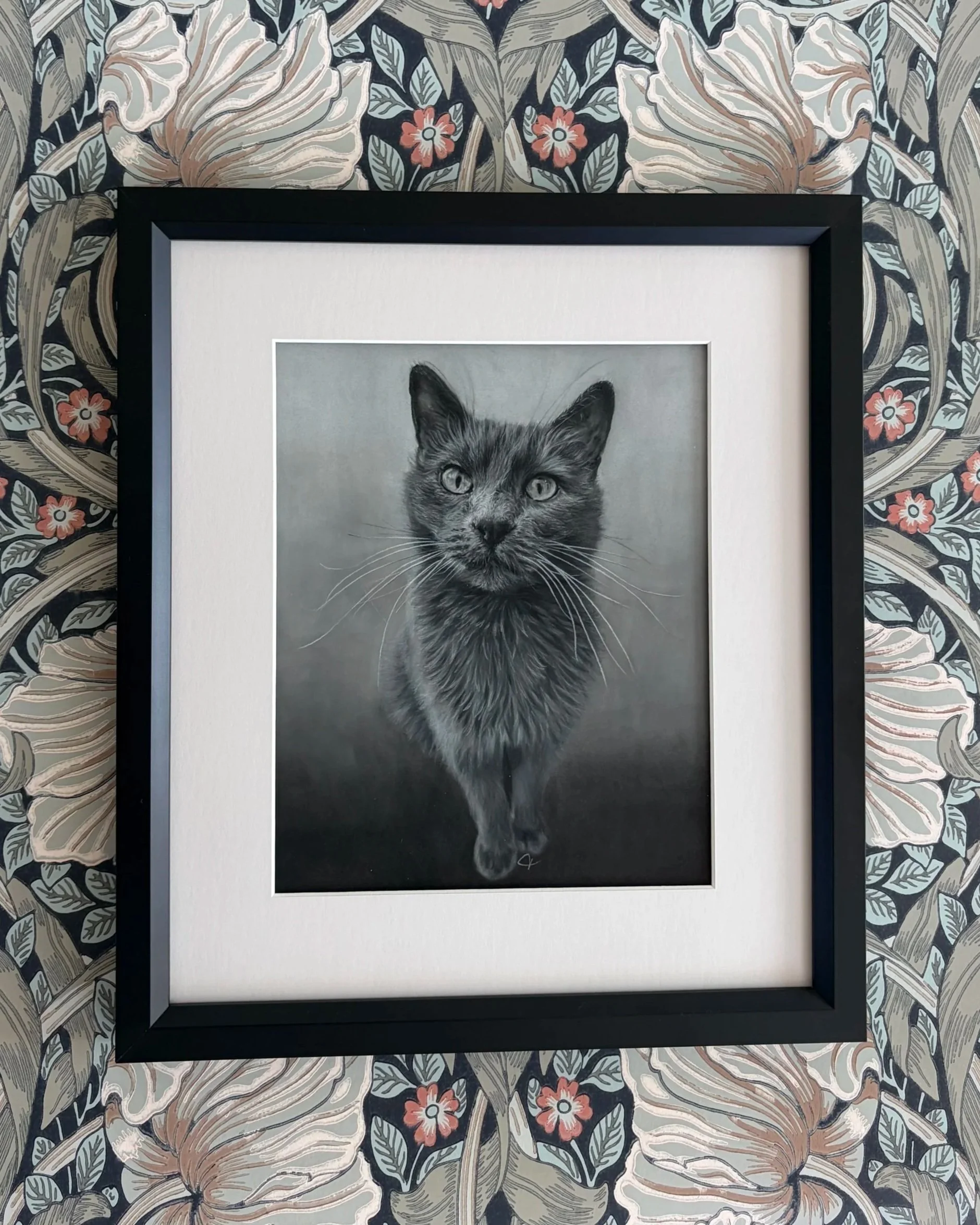 Framed drawing of cat.