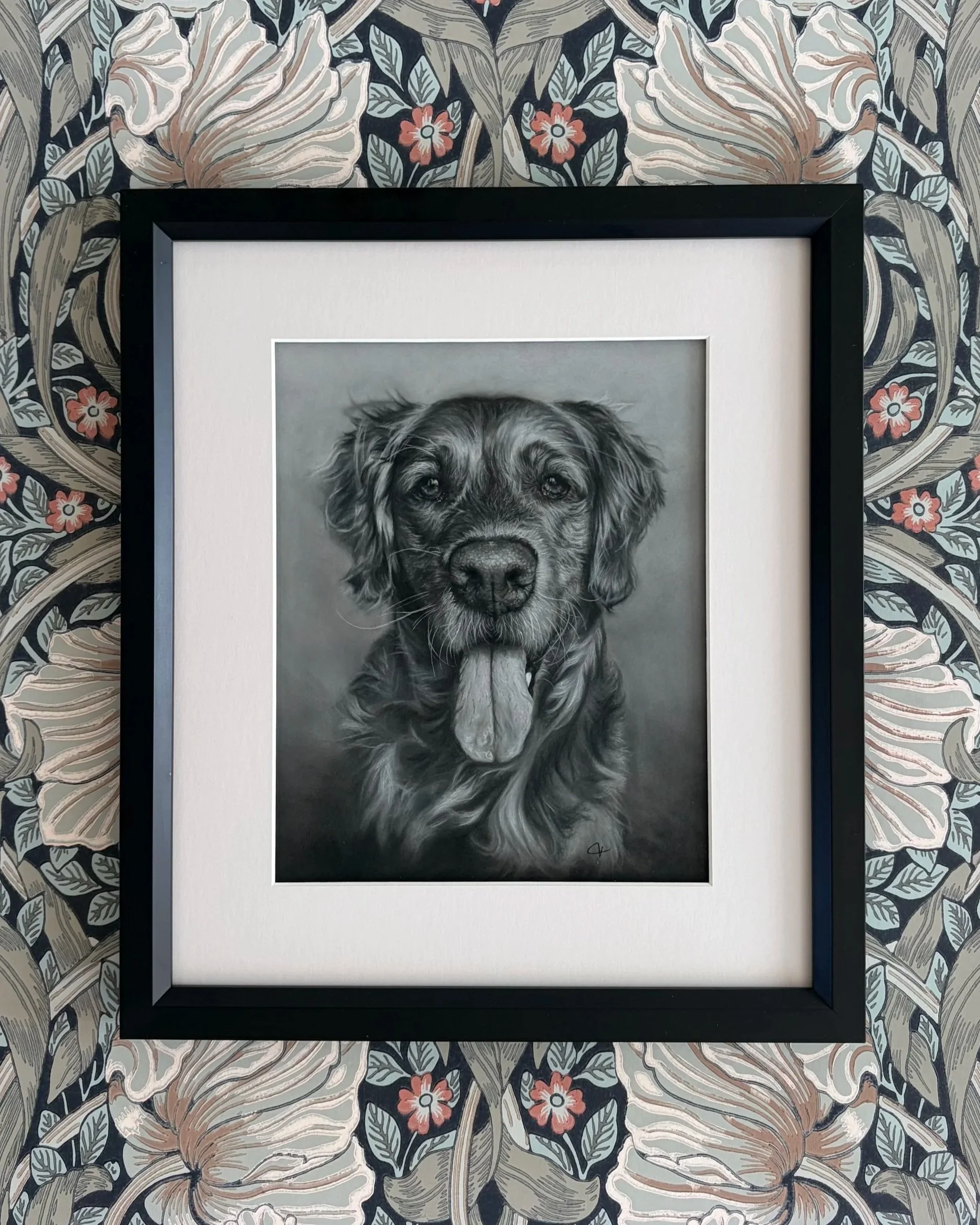 Framed drawing of Golden Retriever.