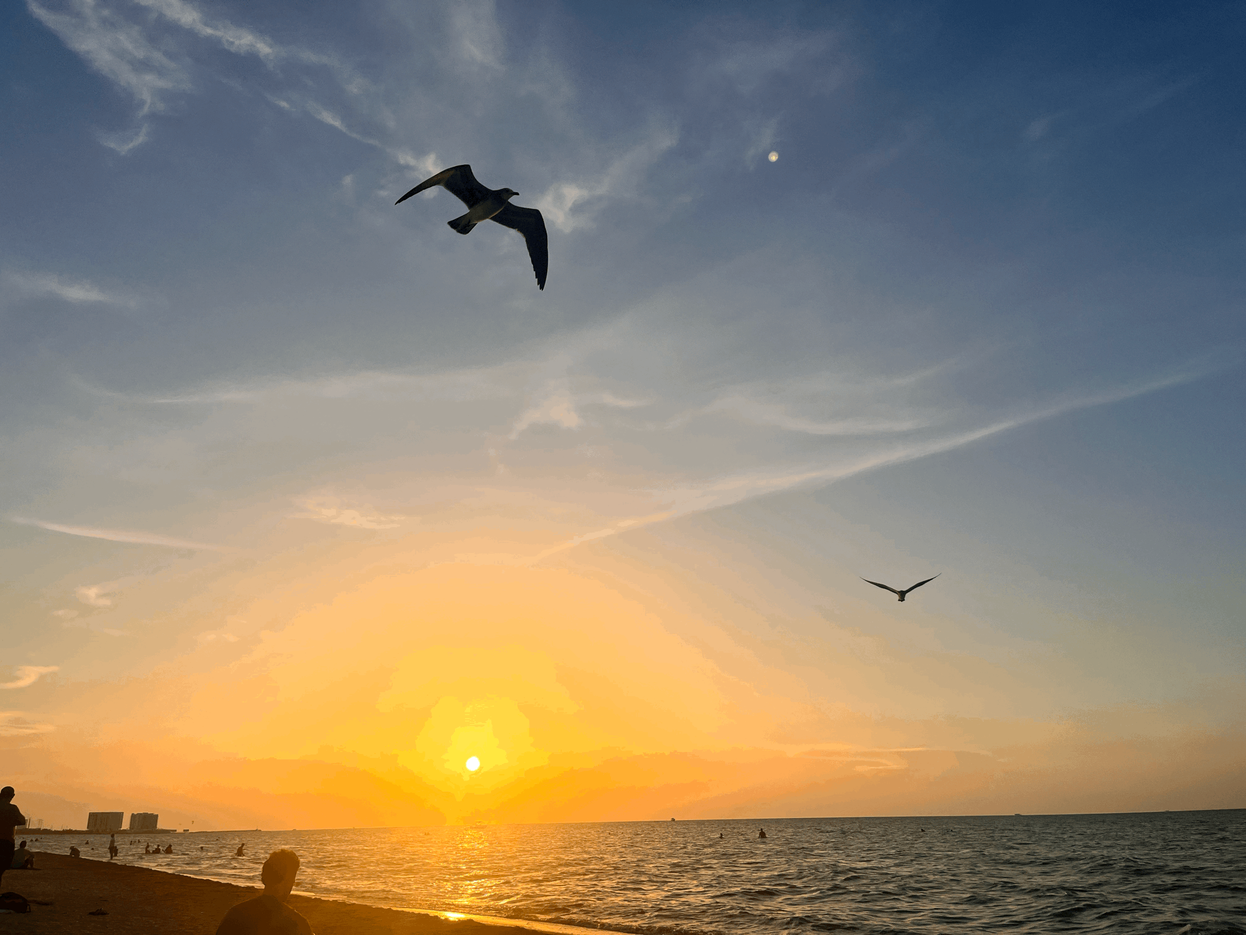 Can the Akashic Records Predict Your Future?