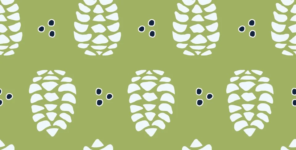 Whimsical Pinecones