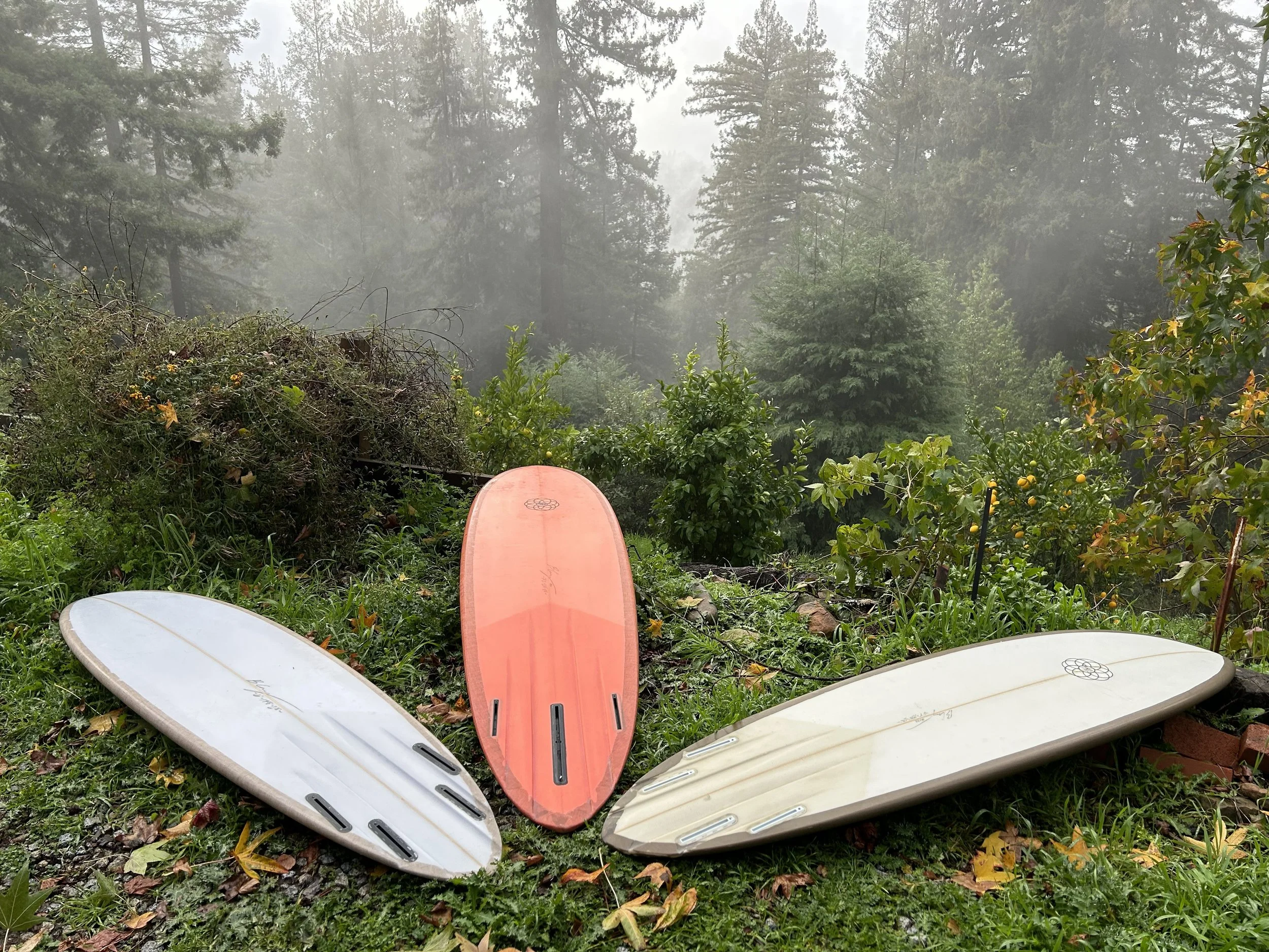 Four surfboards are lying on the grass in a garden with trees and shrubs, with fog in the background.