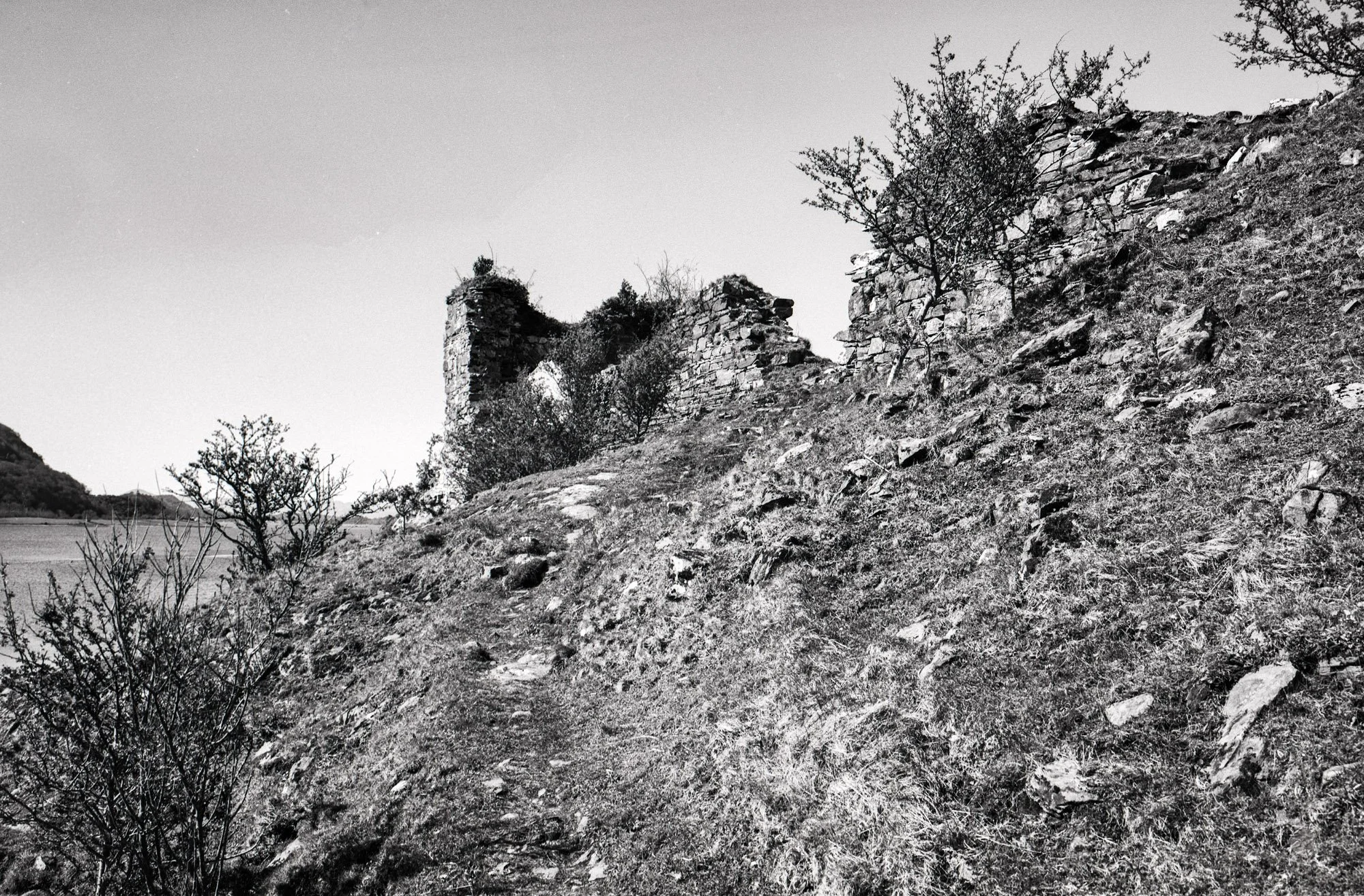 GSW690_Delta100_6-Edit.jpg