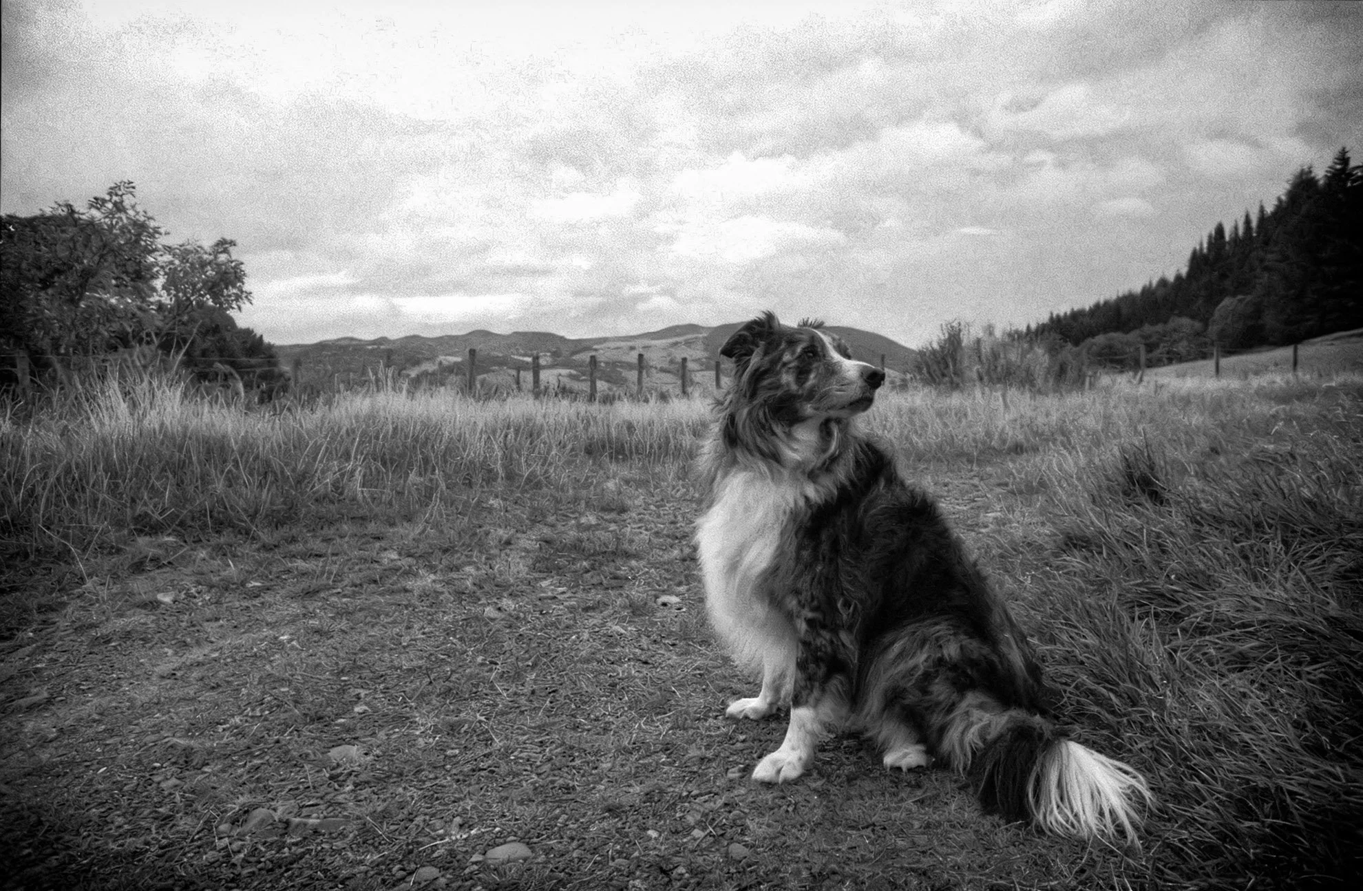 OM2-n_Delta400_FX39_18.jpg