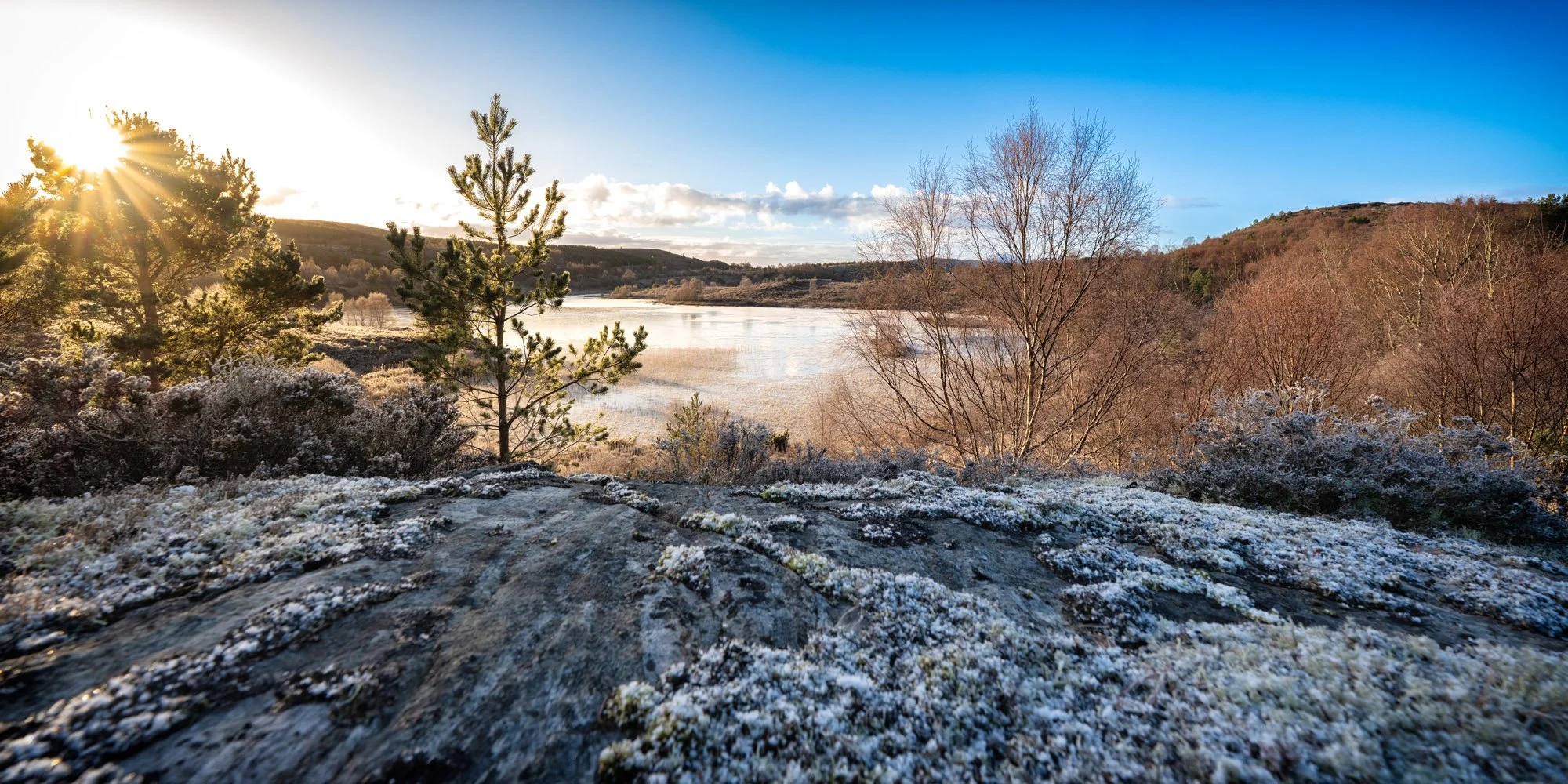 Yesterday Snowdrops, Today…