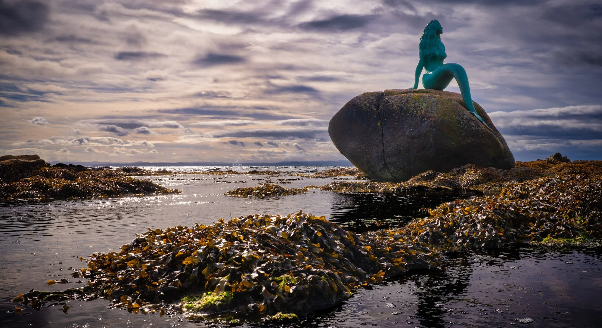 Swimming with Mermaids