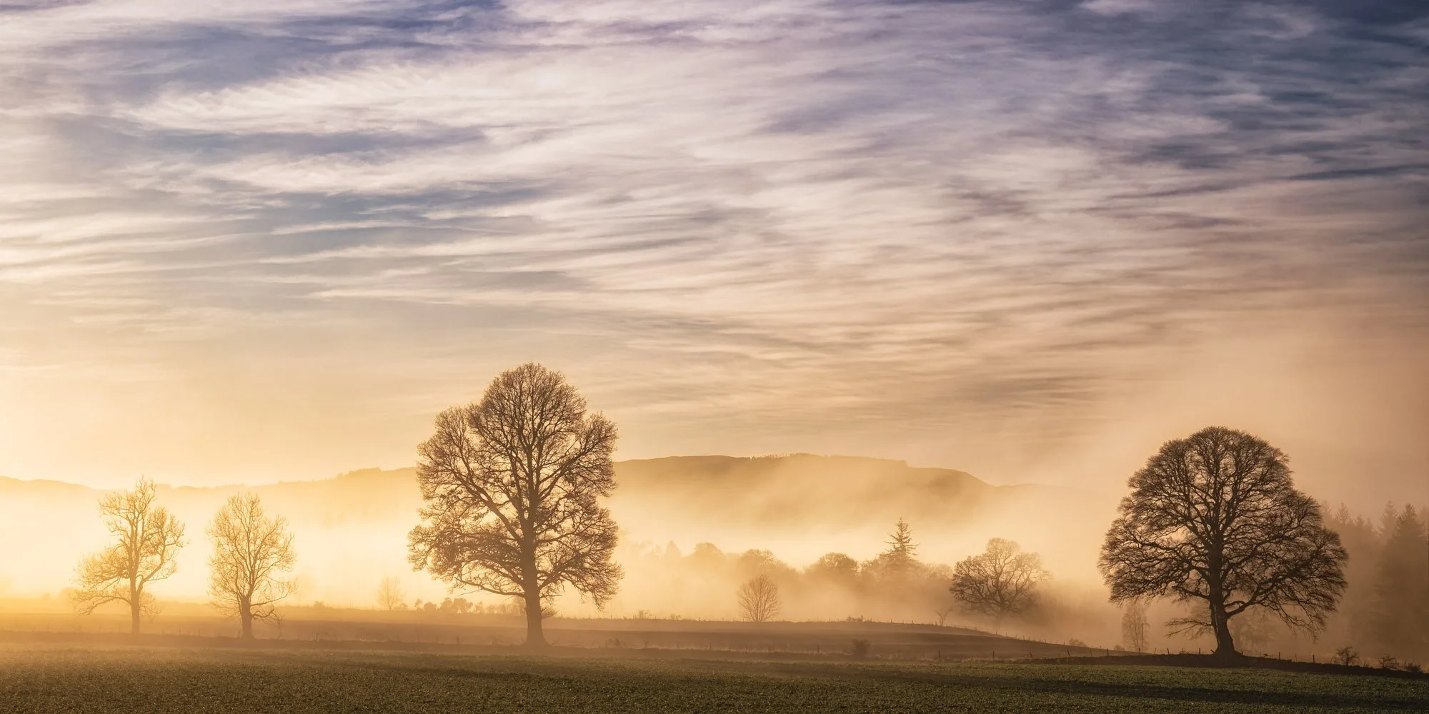 A sunrise over a field with tall, leafless trees and a misty background, under a sky with scattered clouds.
