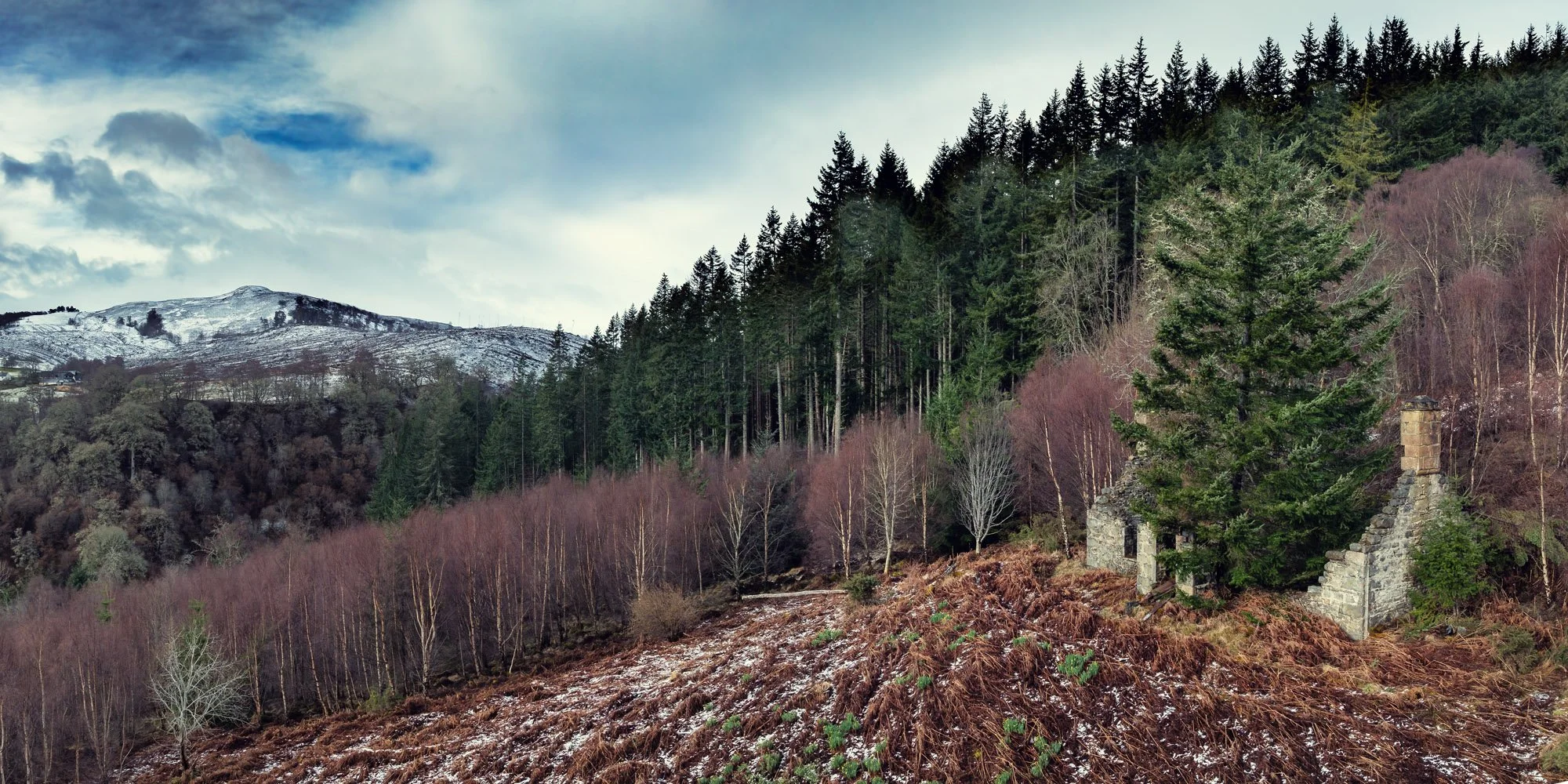 Photograph of Daffodil Cottage in the lost vliiage of Eskart under some light March snowfall.  The daffodils are just starting to poke through giving a taste of spring.
