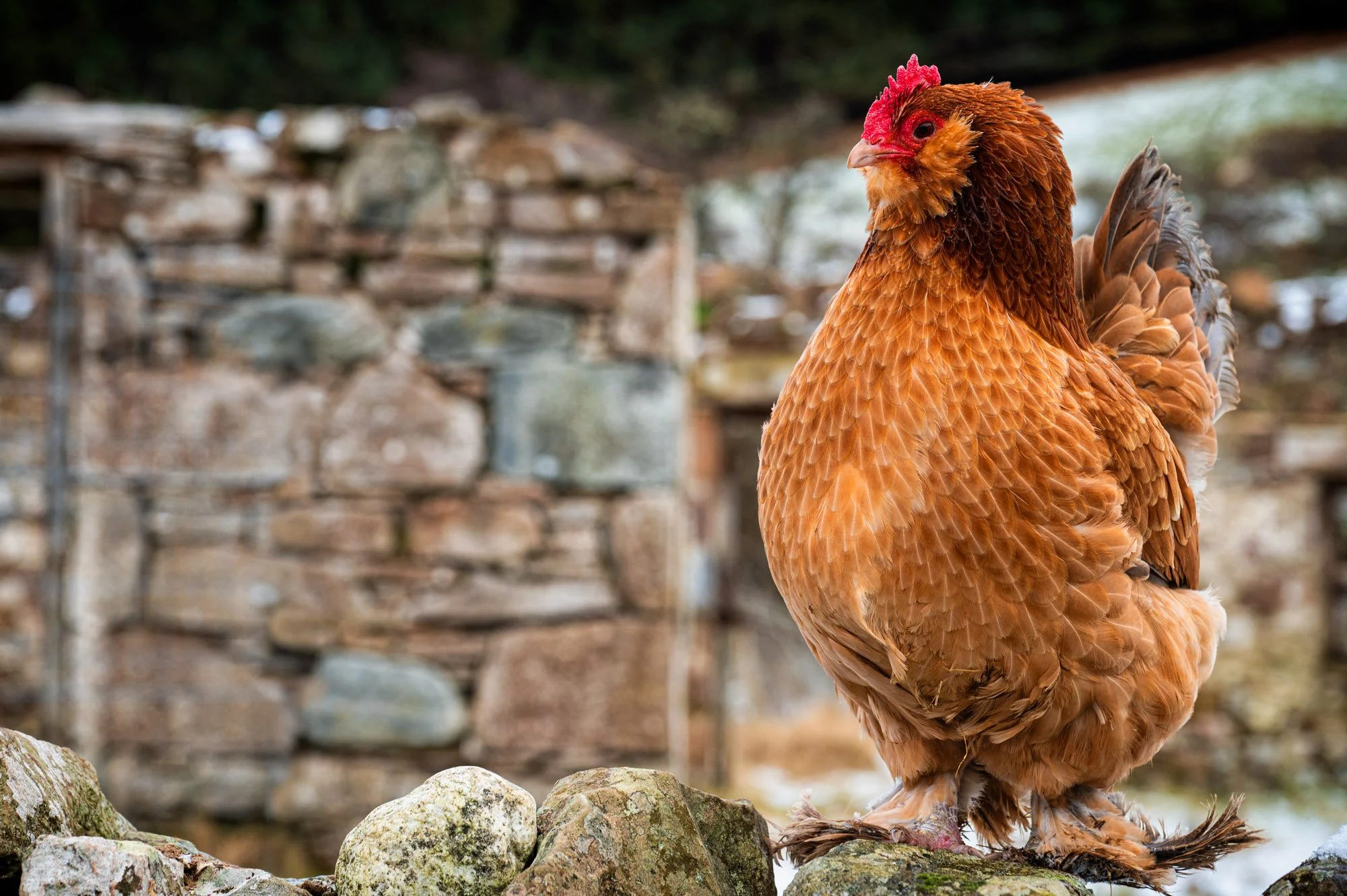 So How Does One Become A…